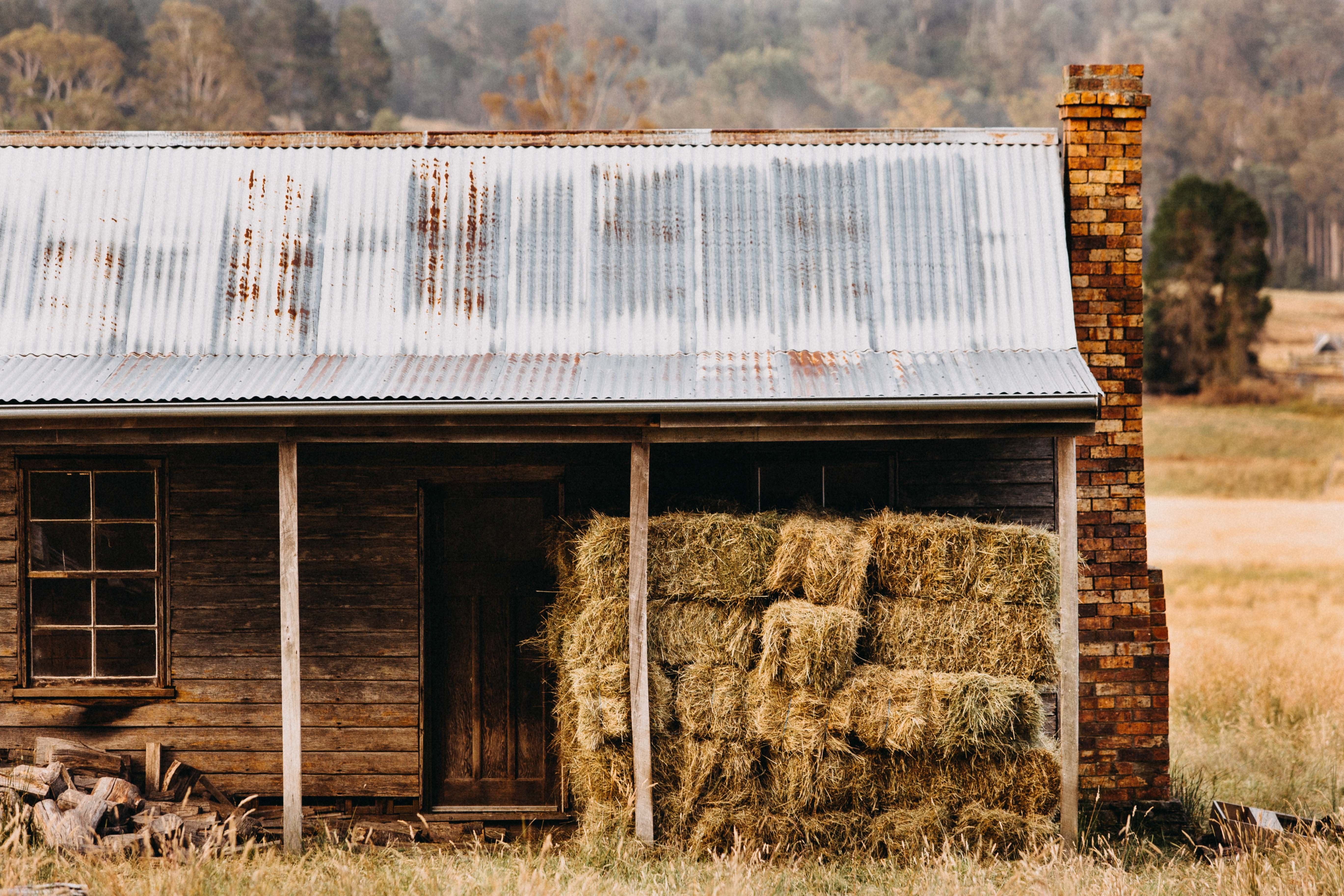 Meander Valley Shack II Photographic Print