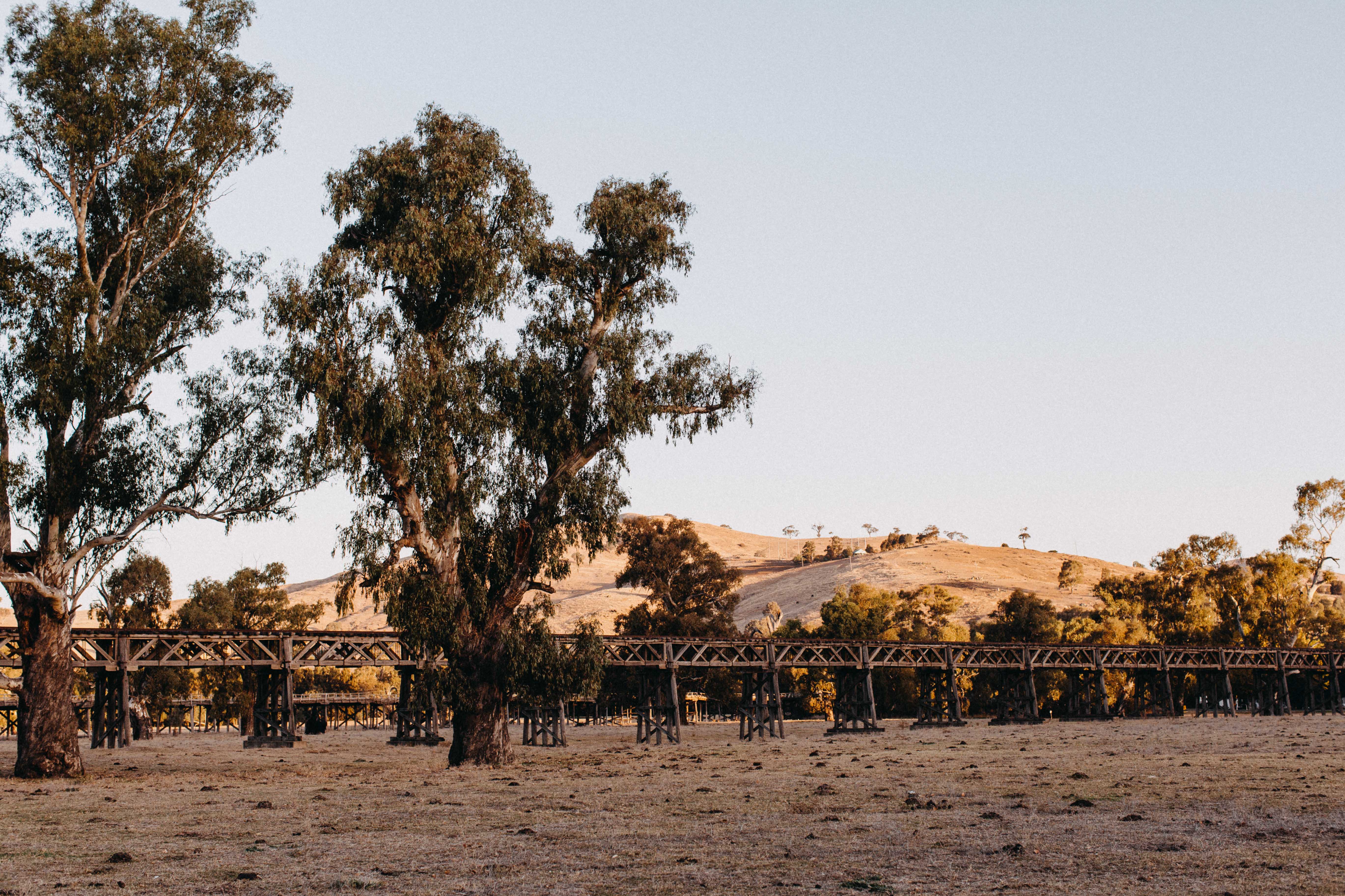 Gundagai Railway Bridge I Photographic Print - Emily O'Brien