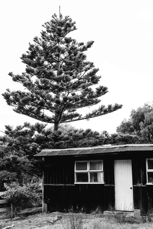 Hawley Beach Shack B+W Photographic Print