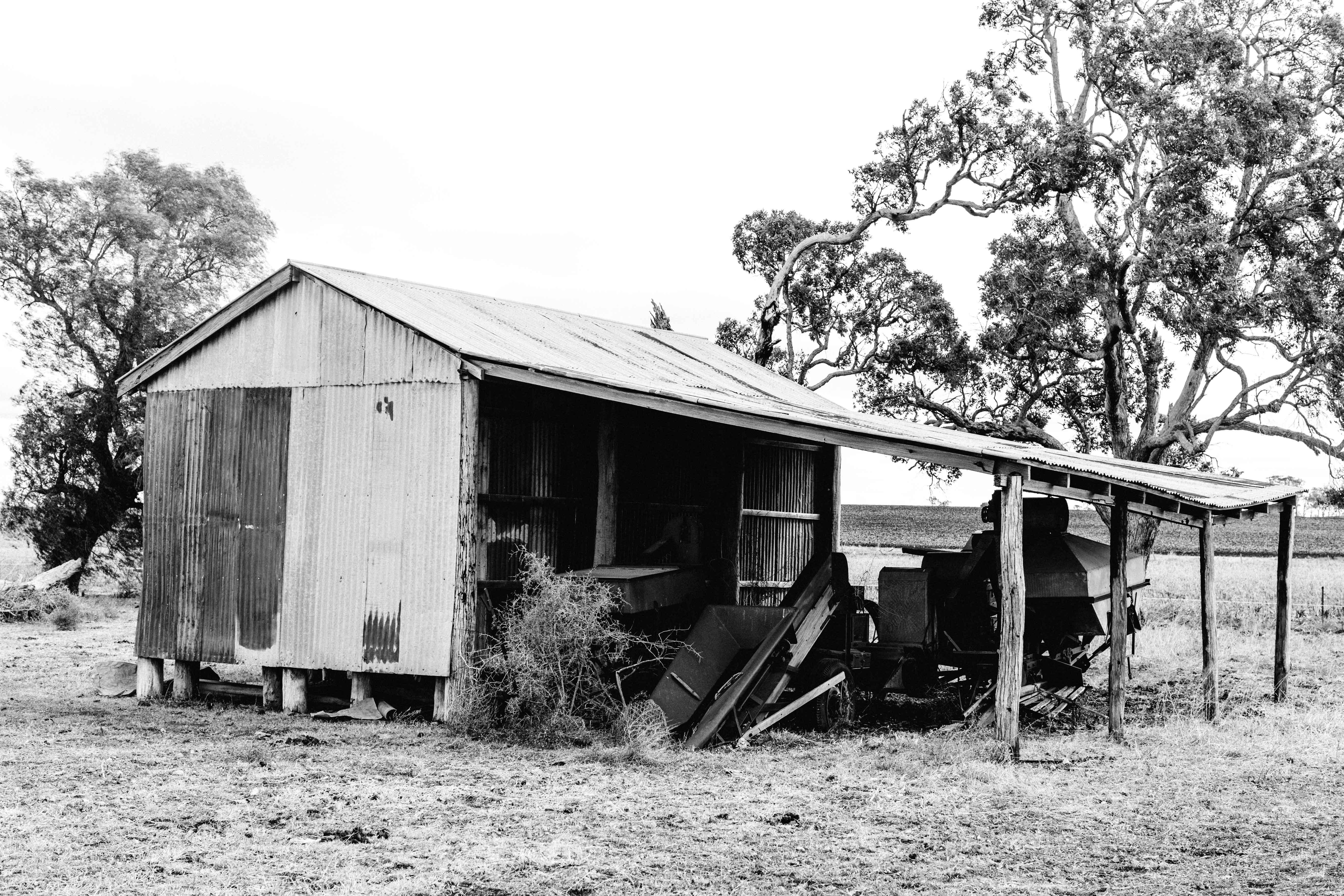 Freestone Shed I B+W Photographic Print