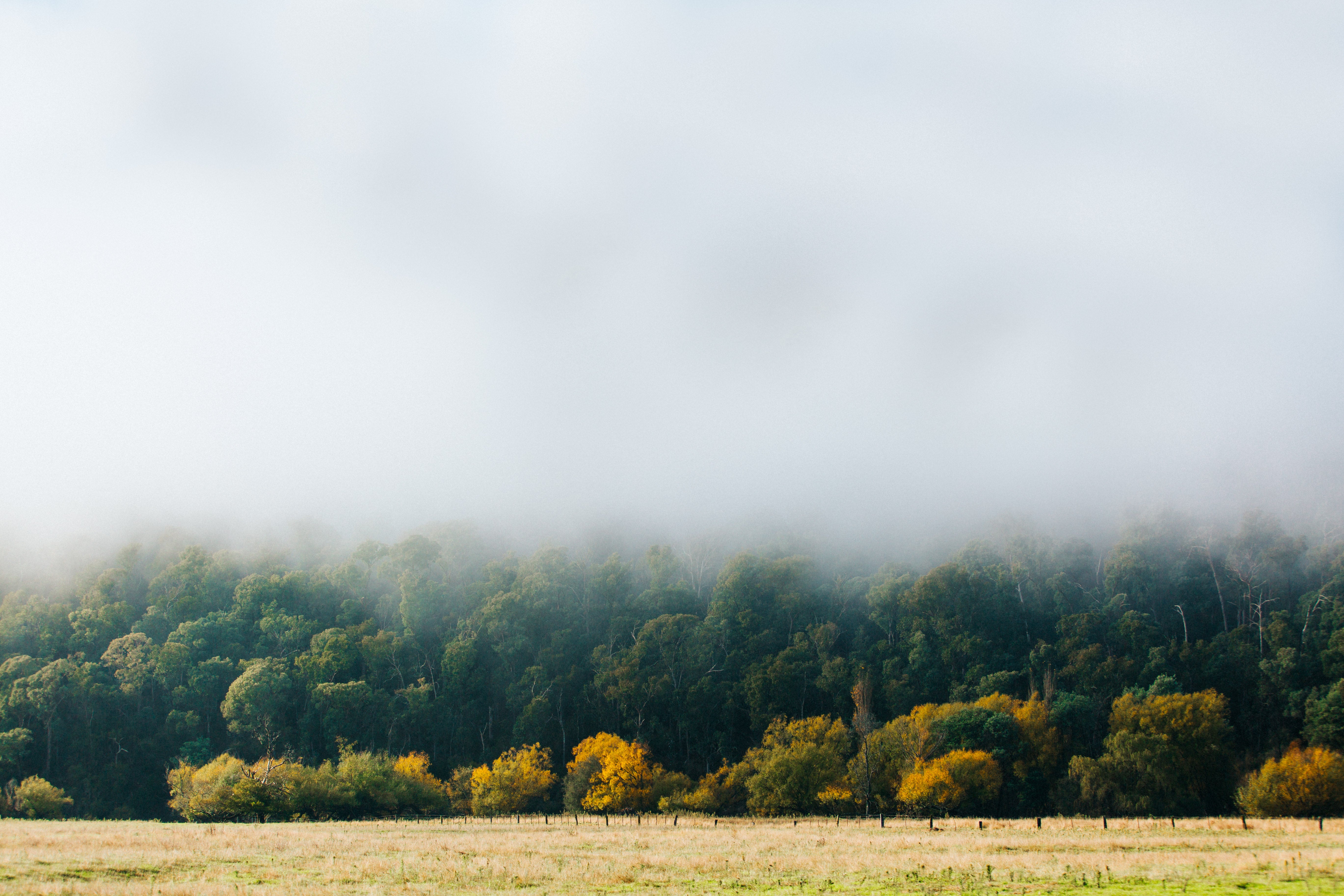 Highland Fog Photographic Print - Emily O'Brien