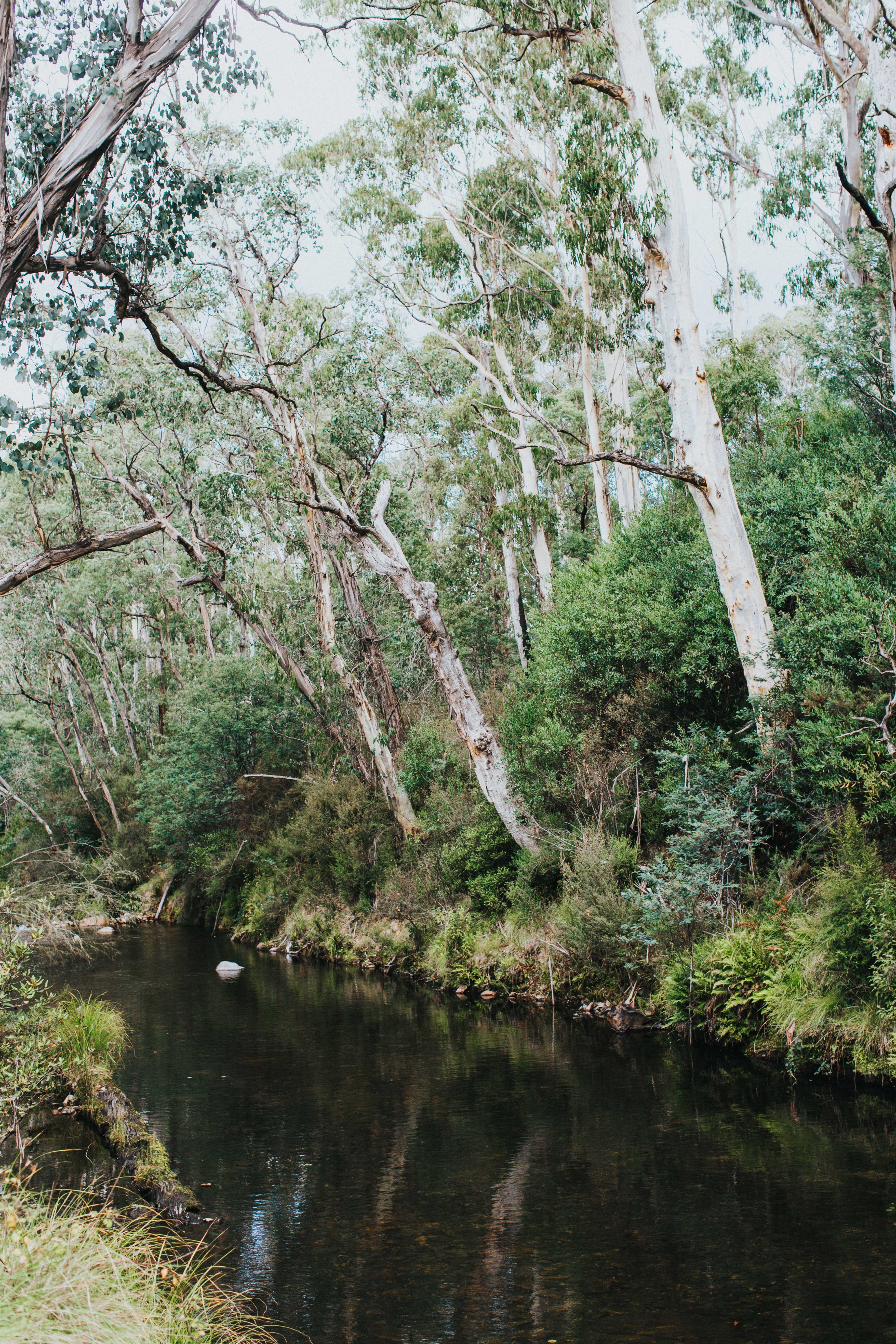 Highland Riverbank I Photographic Print - Emily O'Brien