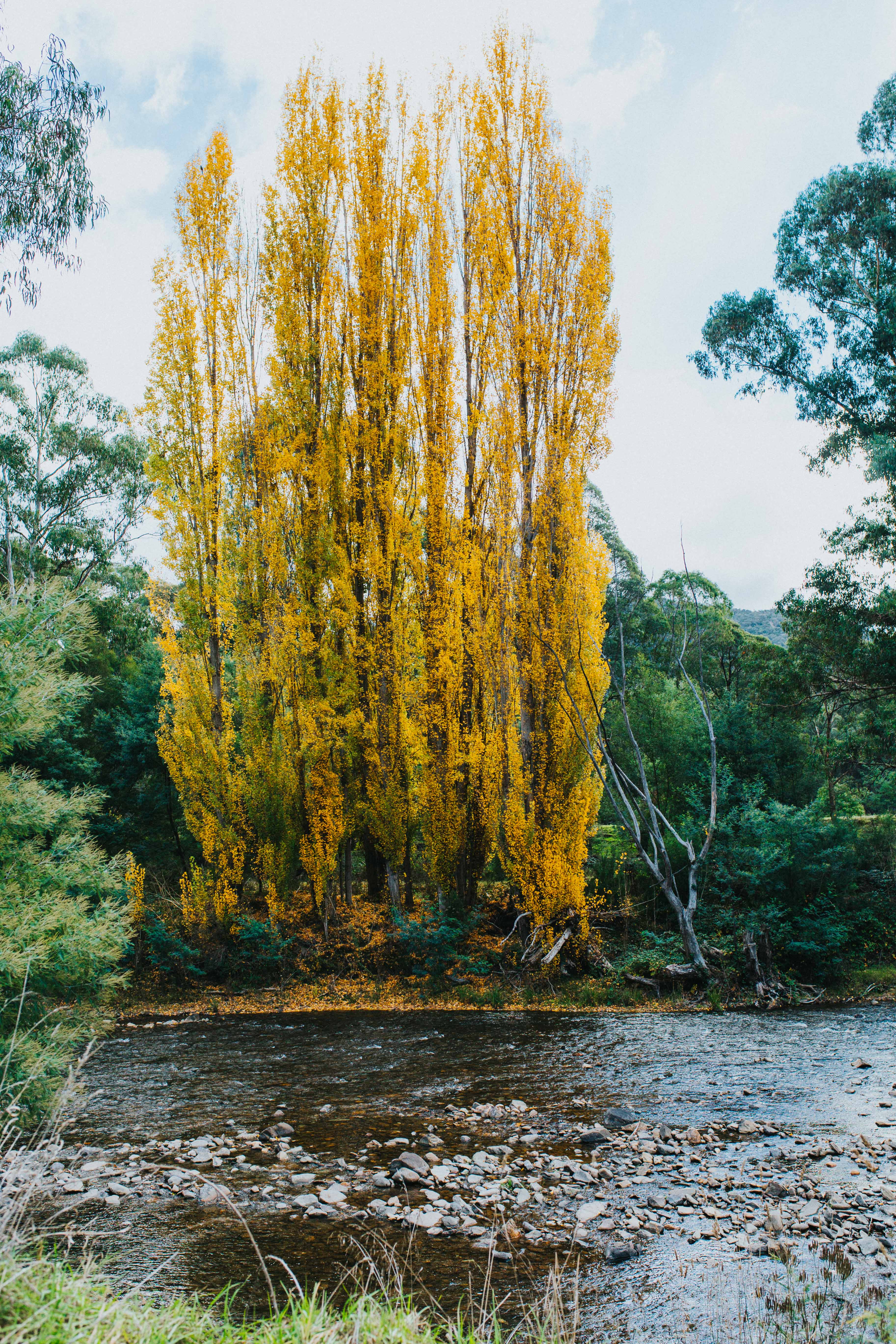 Highland Howqua River Photographic Print - Emily O'Brien