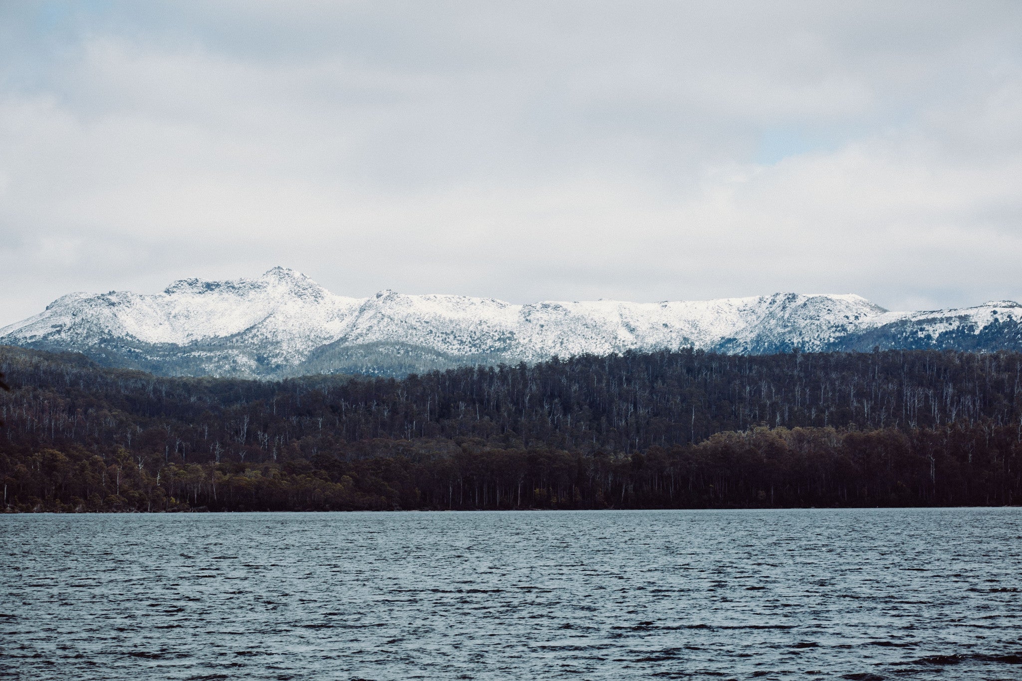 Lake St Clair I Photographic Print - Emily O'Brien