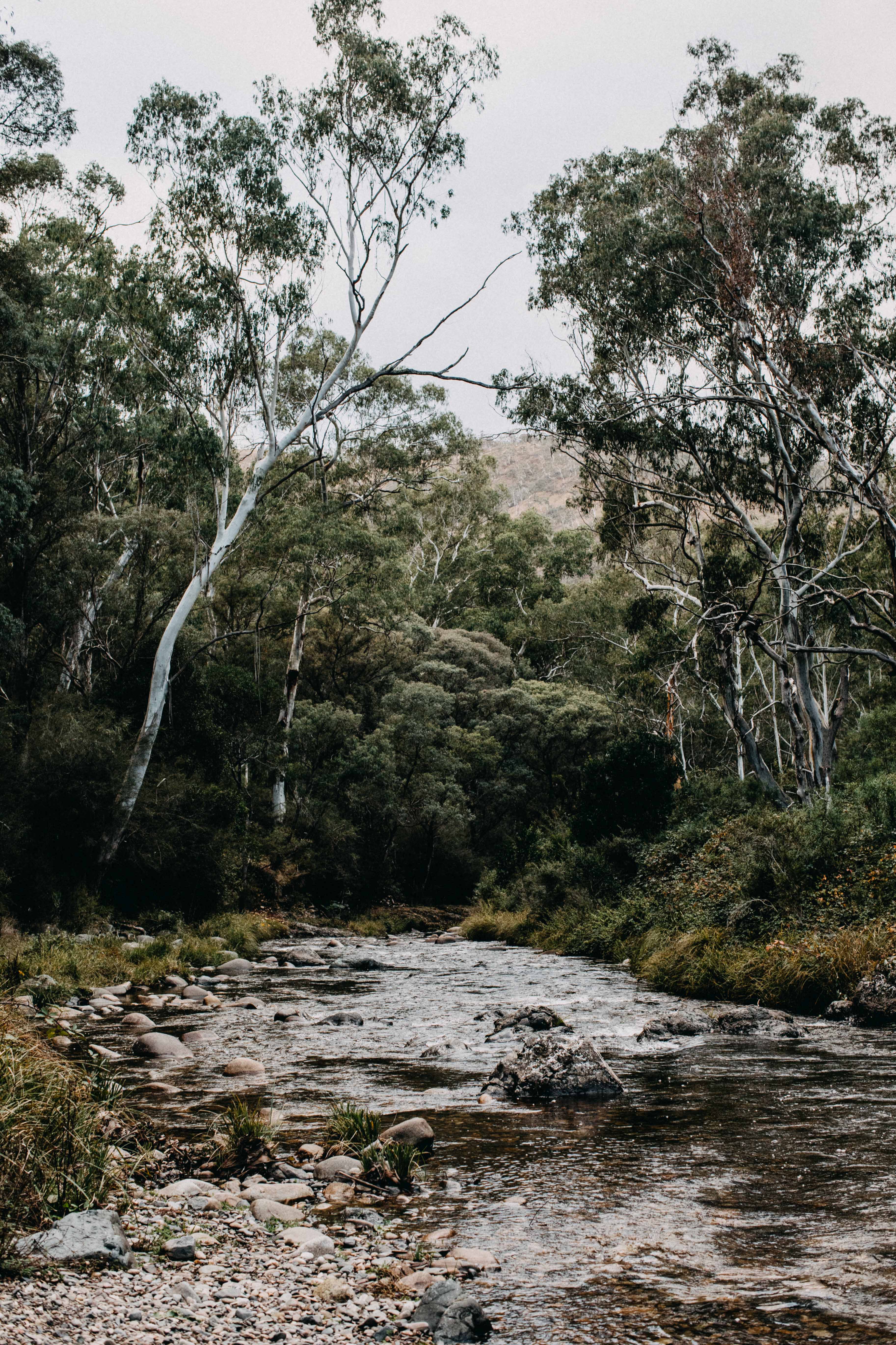 Down by the River II Photographic Print