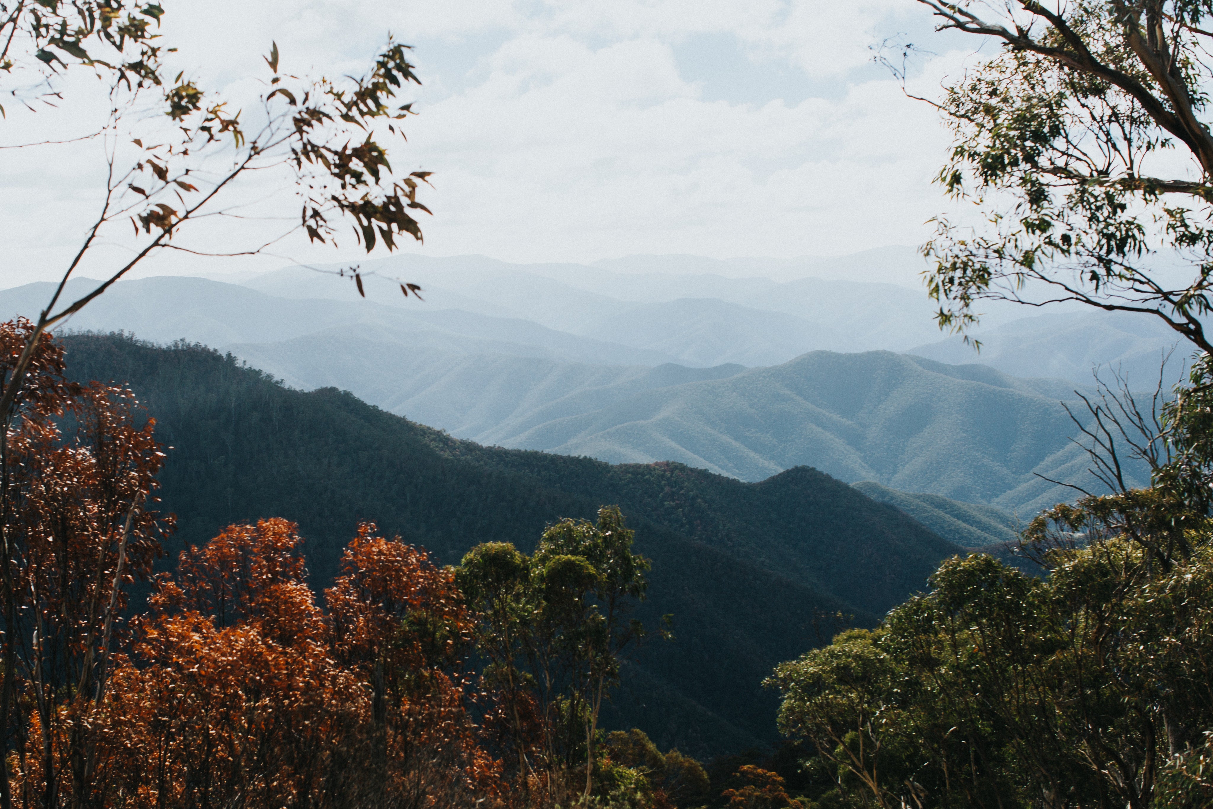 Highland Victorian High Country Photographic Print - Emily O'Brien