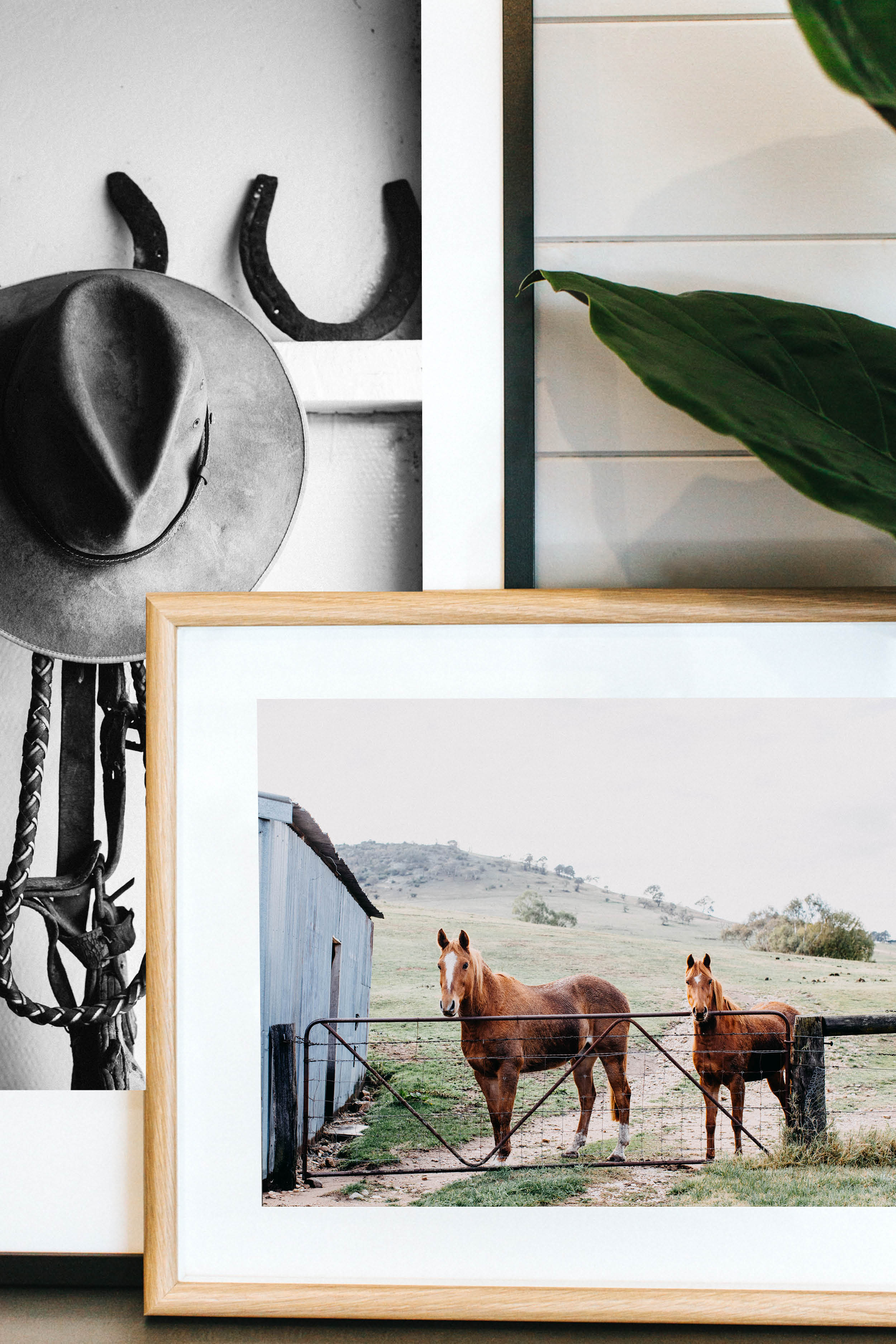 Alice + Eve Horses I Photographic Print