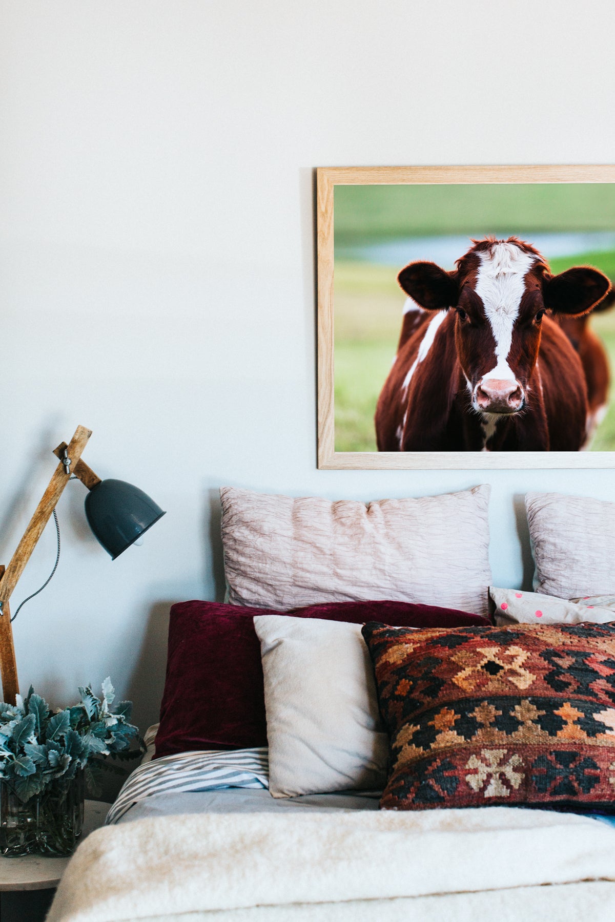 Betty Cow Photographic Print - Emily O'Brien
