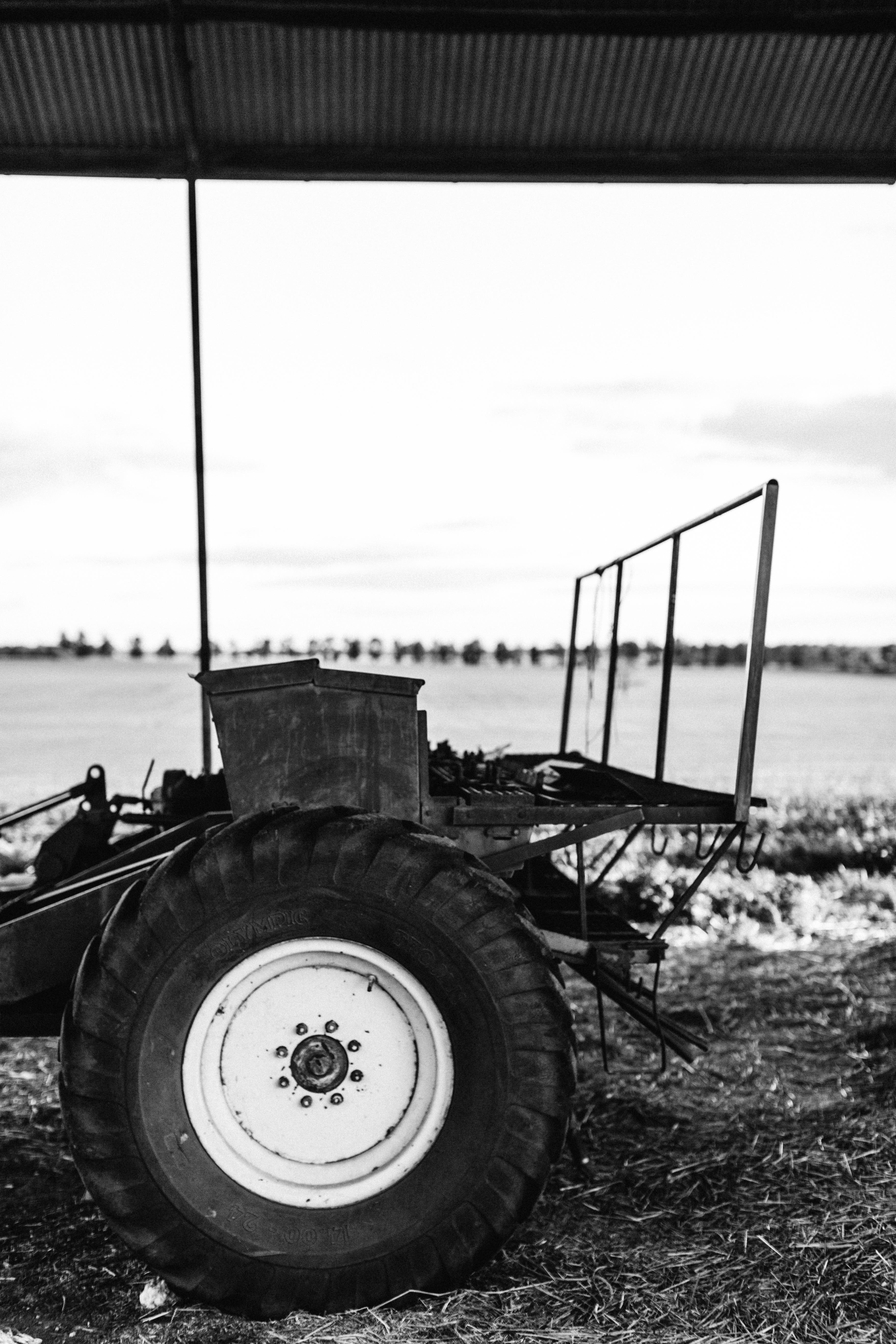 Brushwood Farm VI Photographic Print - Emily O'Brien