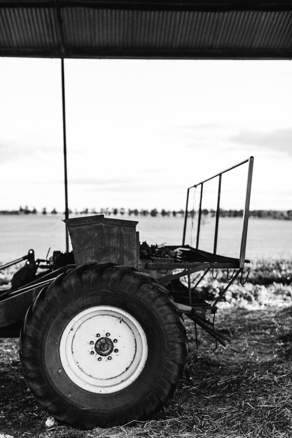 Brushwood Farm VI Photographic Print - Emily O'Brien