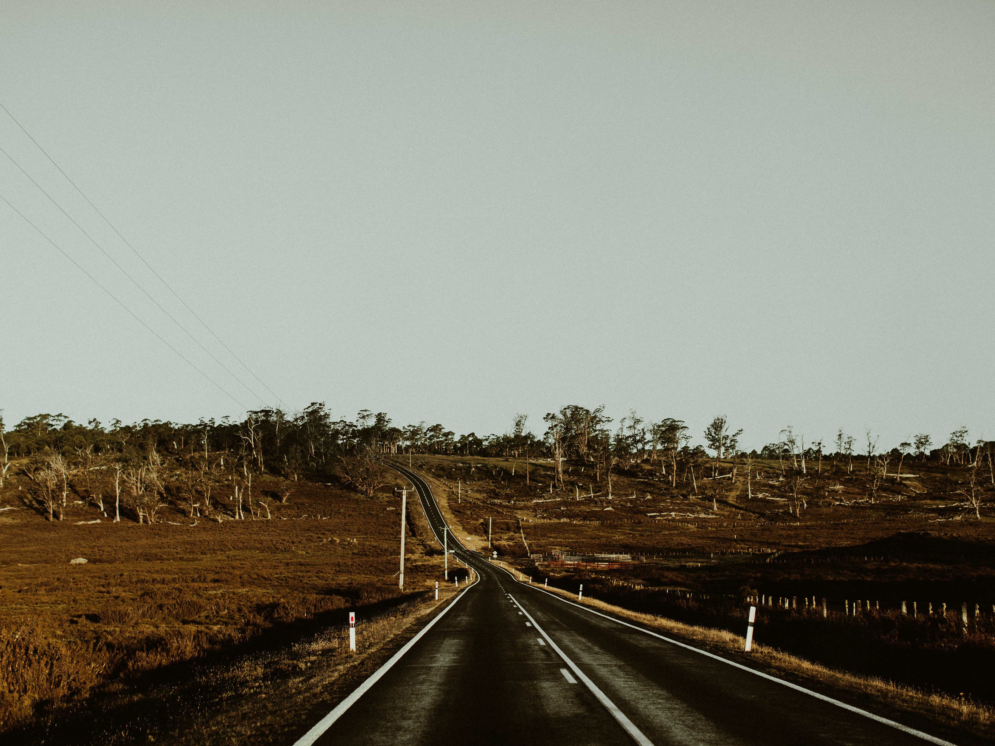 Cradle Mountain Road Photographic Print - Emily O'Brien