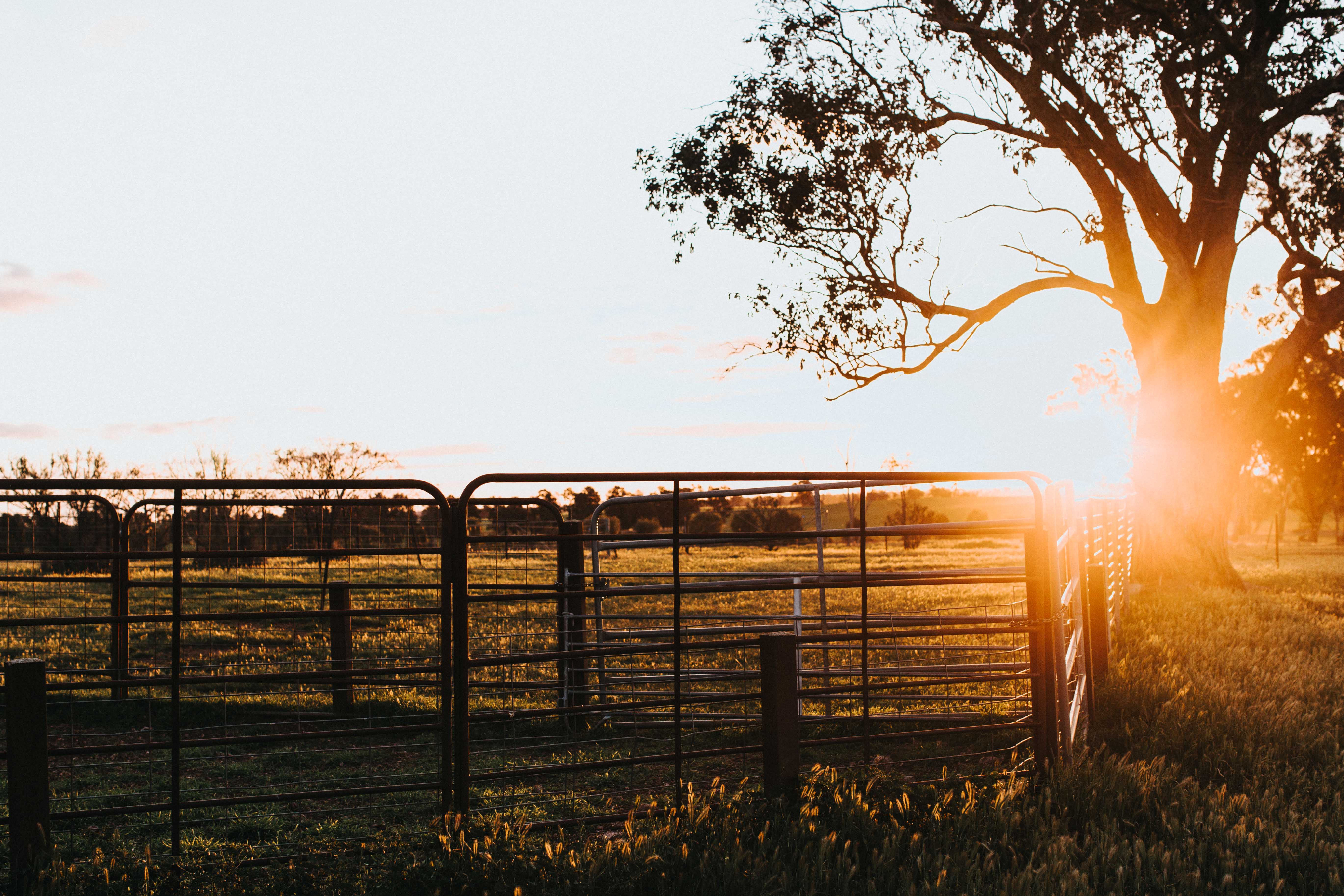 Brushwood Farm II Photographic Print - Emily O'Brien