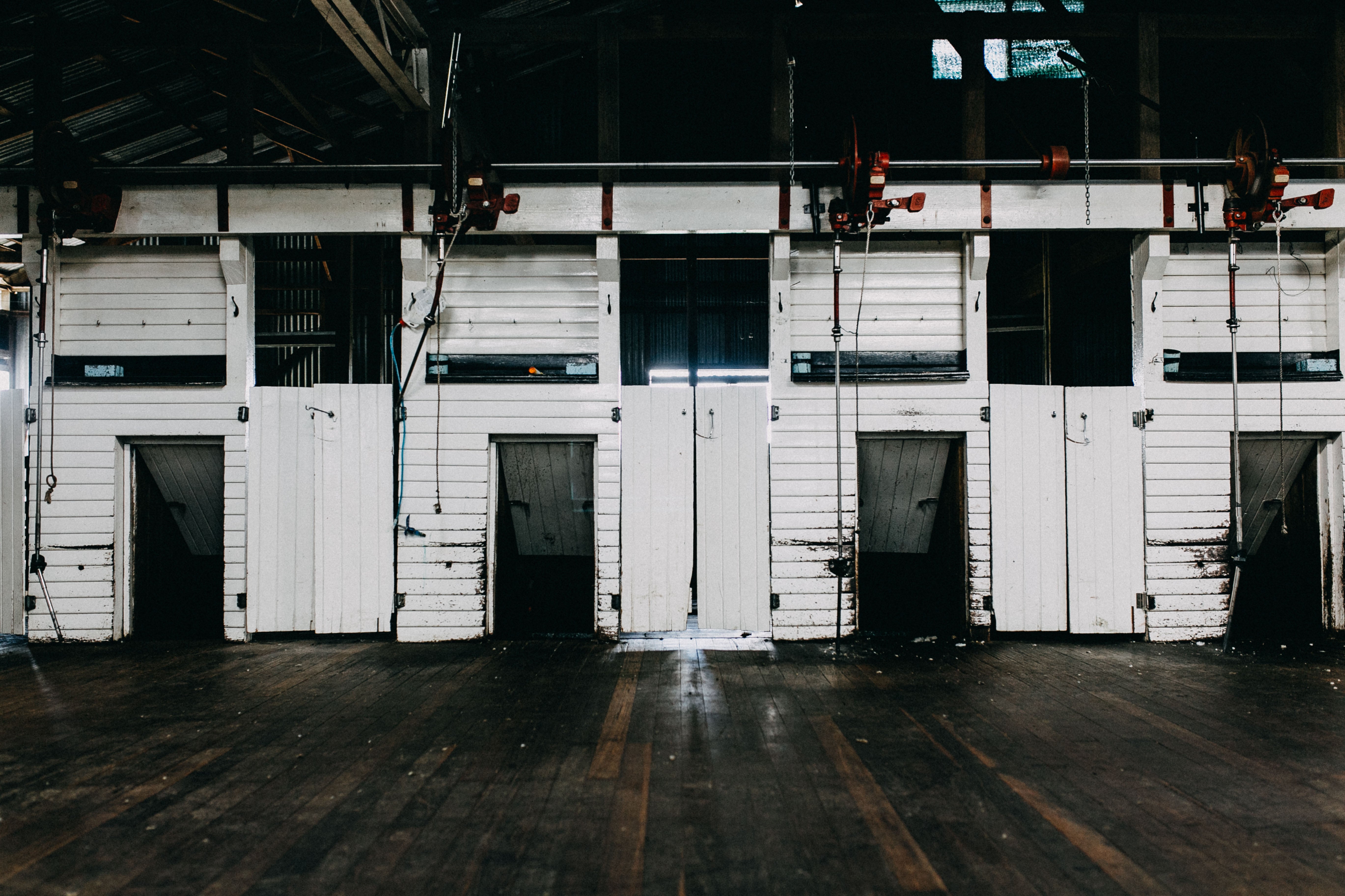 Shearing Shed Photographic Print