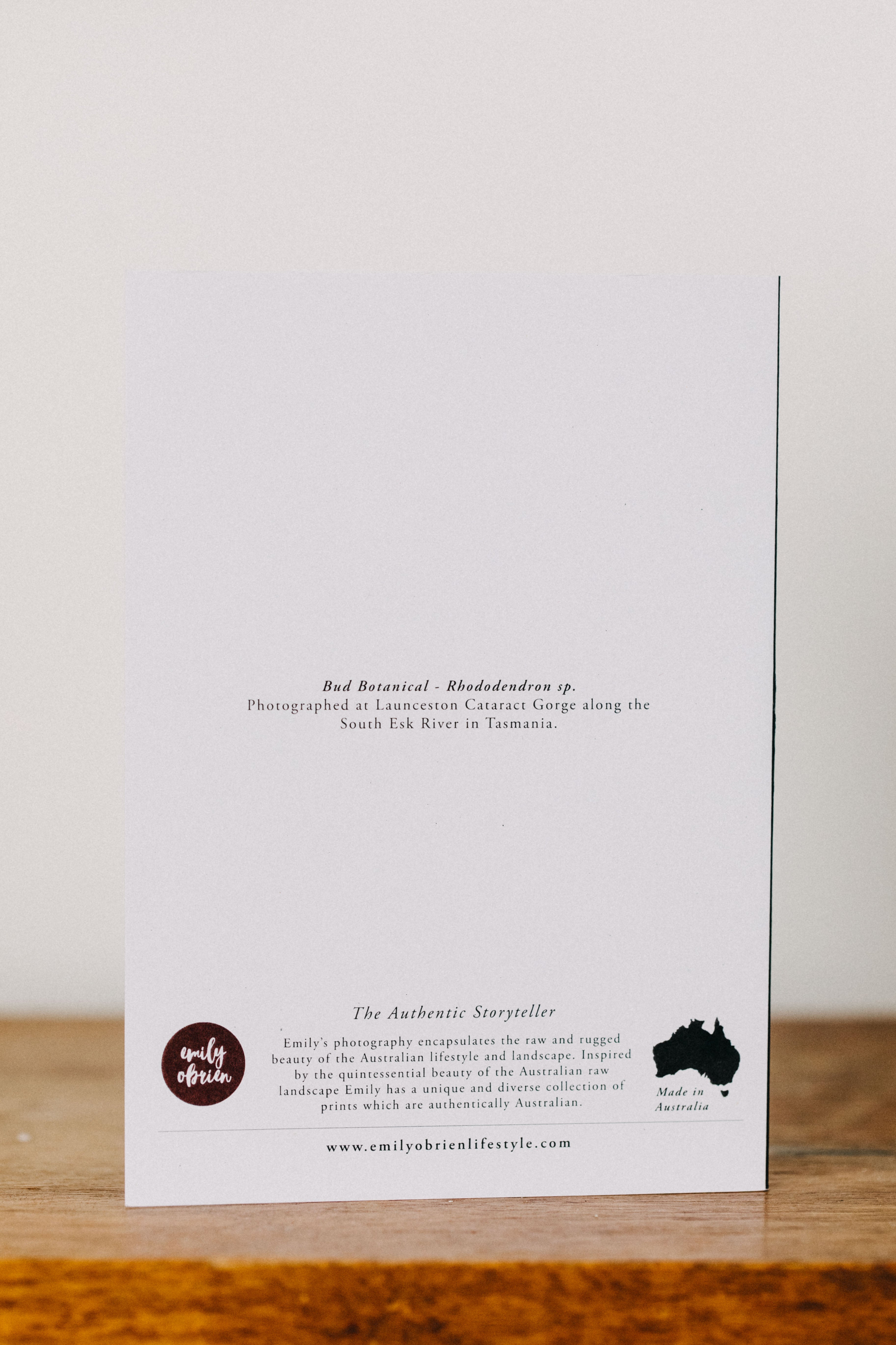 Bud Botanical Greeting Card