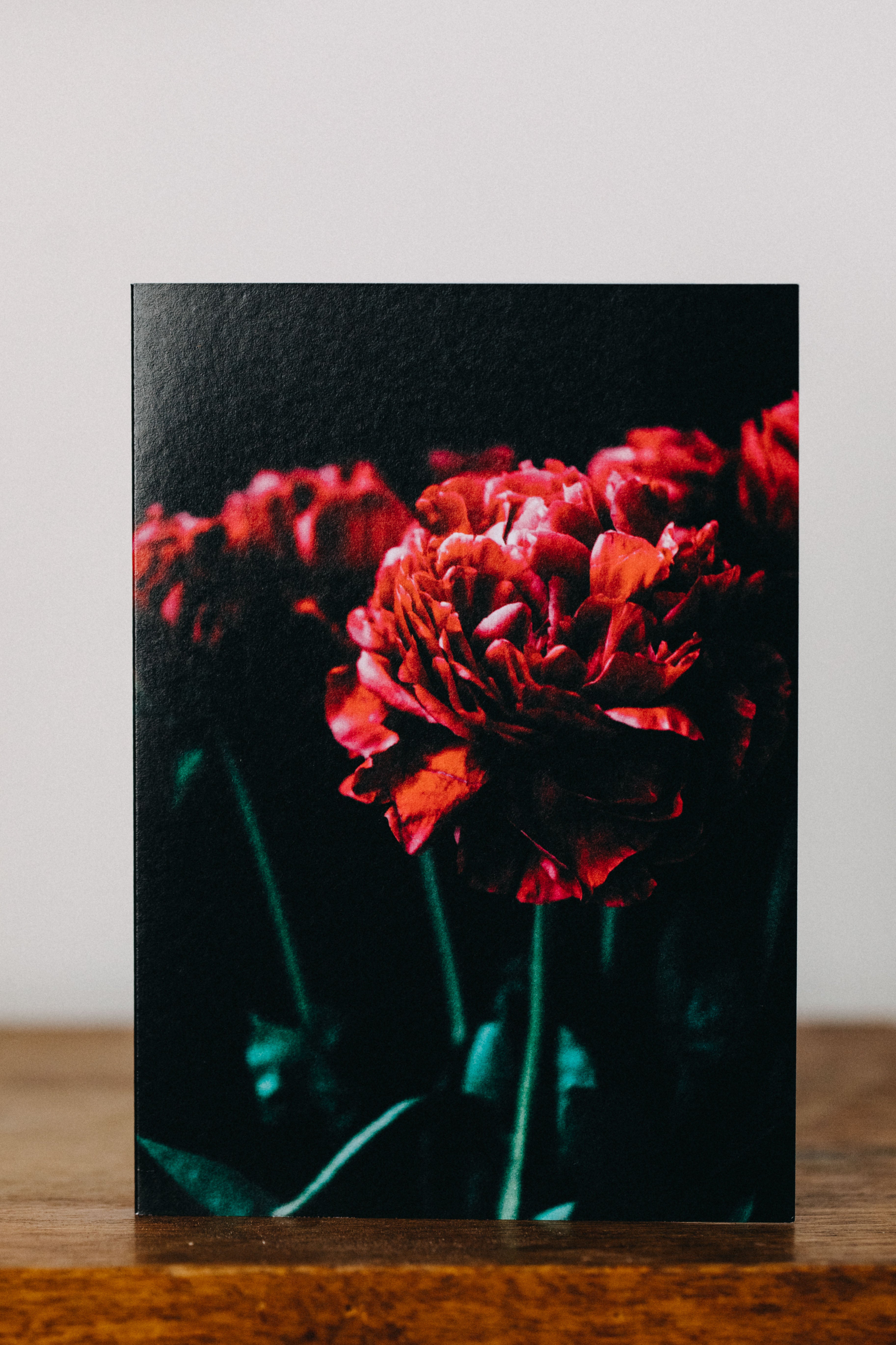 Peony Red Dark II Greeting Card
