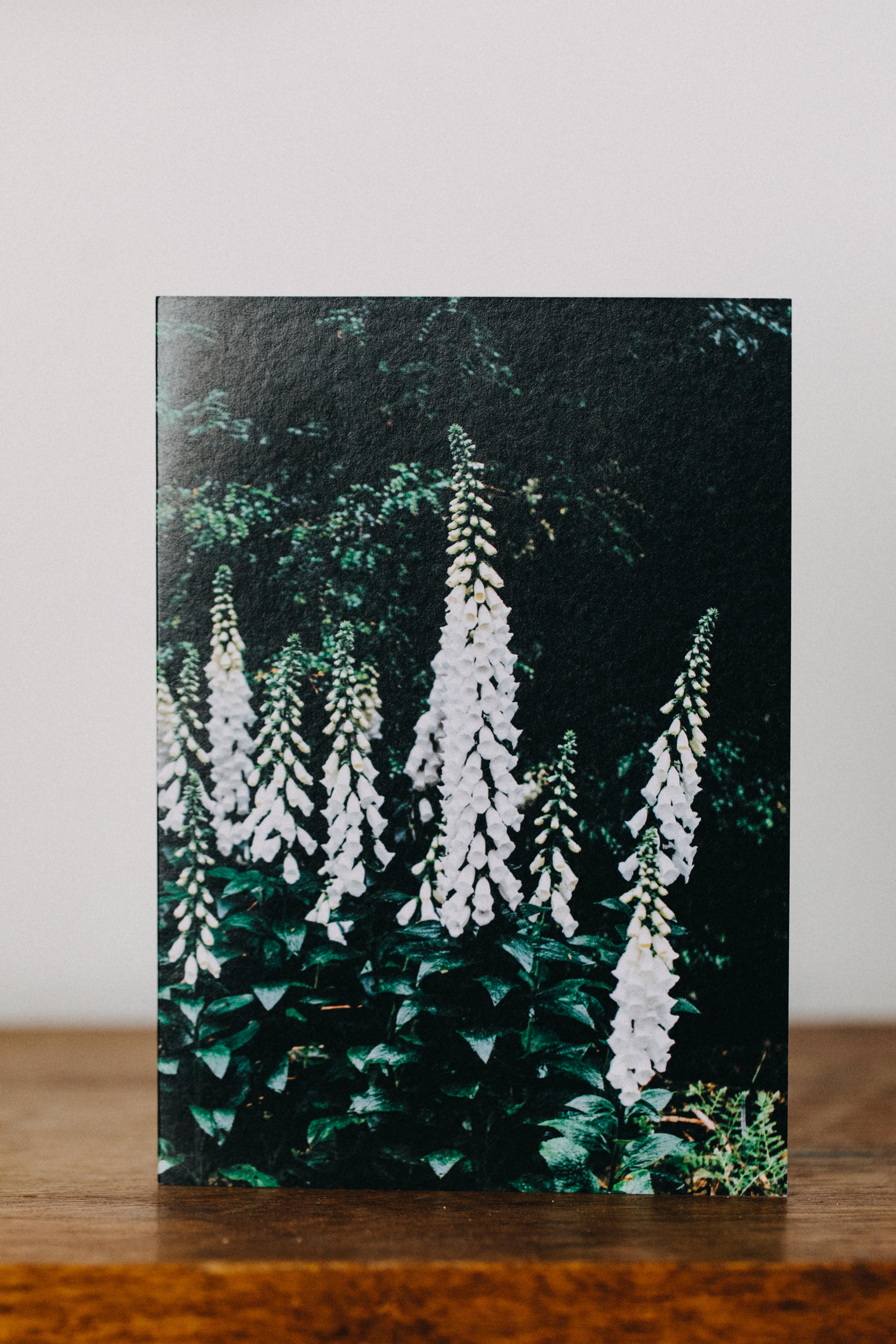 White Foxglove I Greeting Card