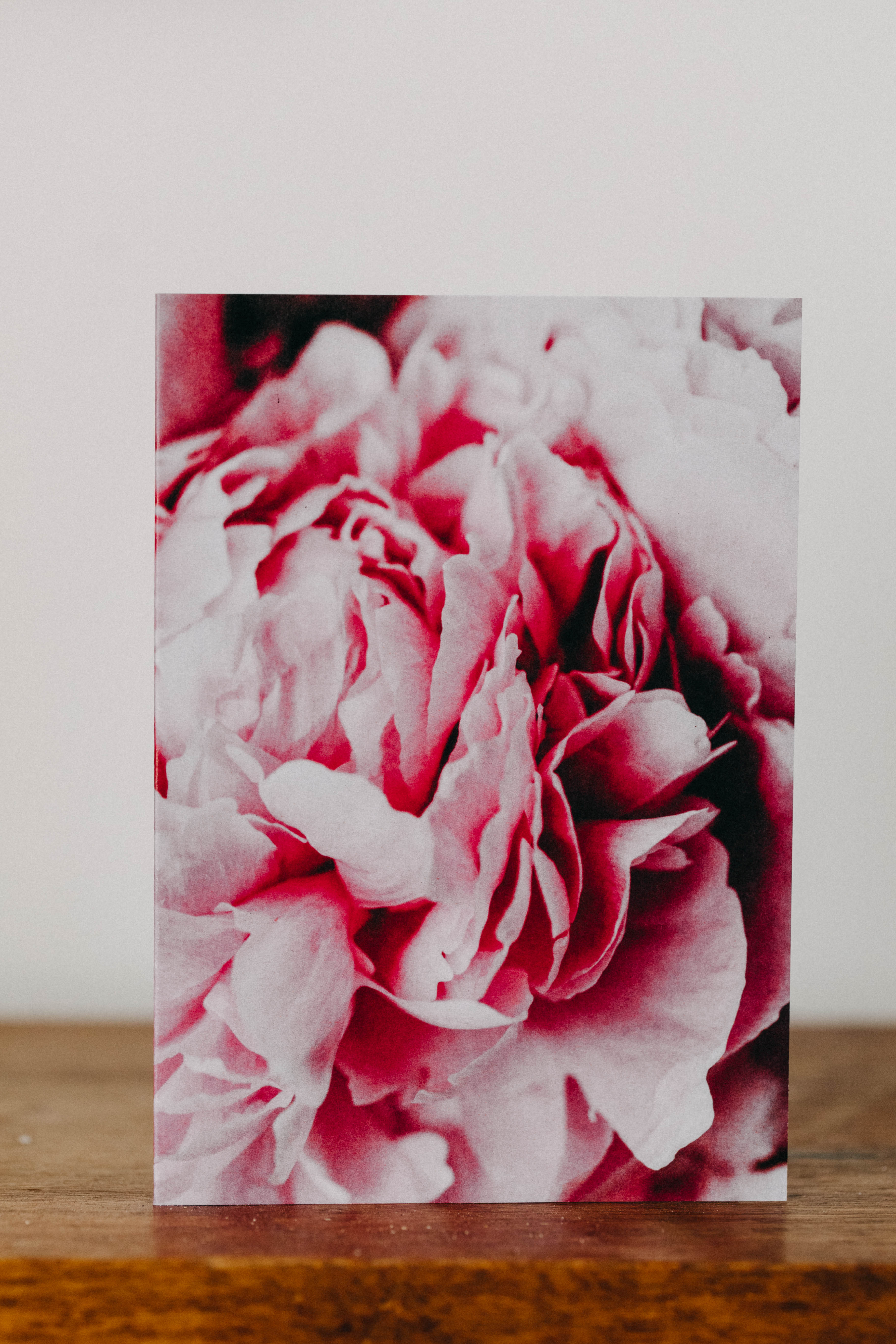 Peony Cluster II Greeting Card - Emily O'Brien