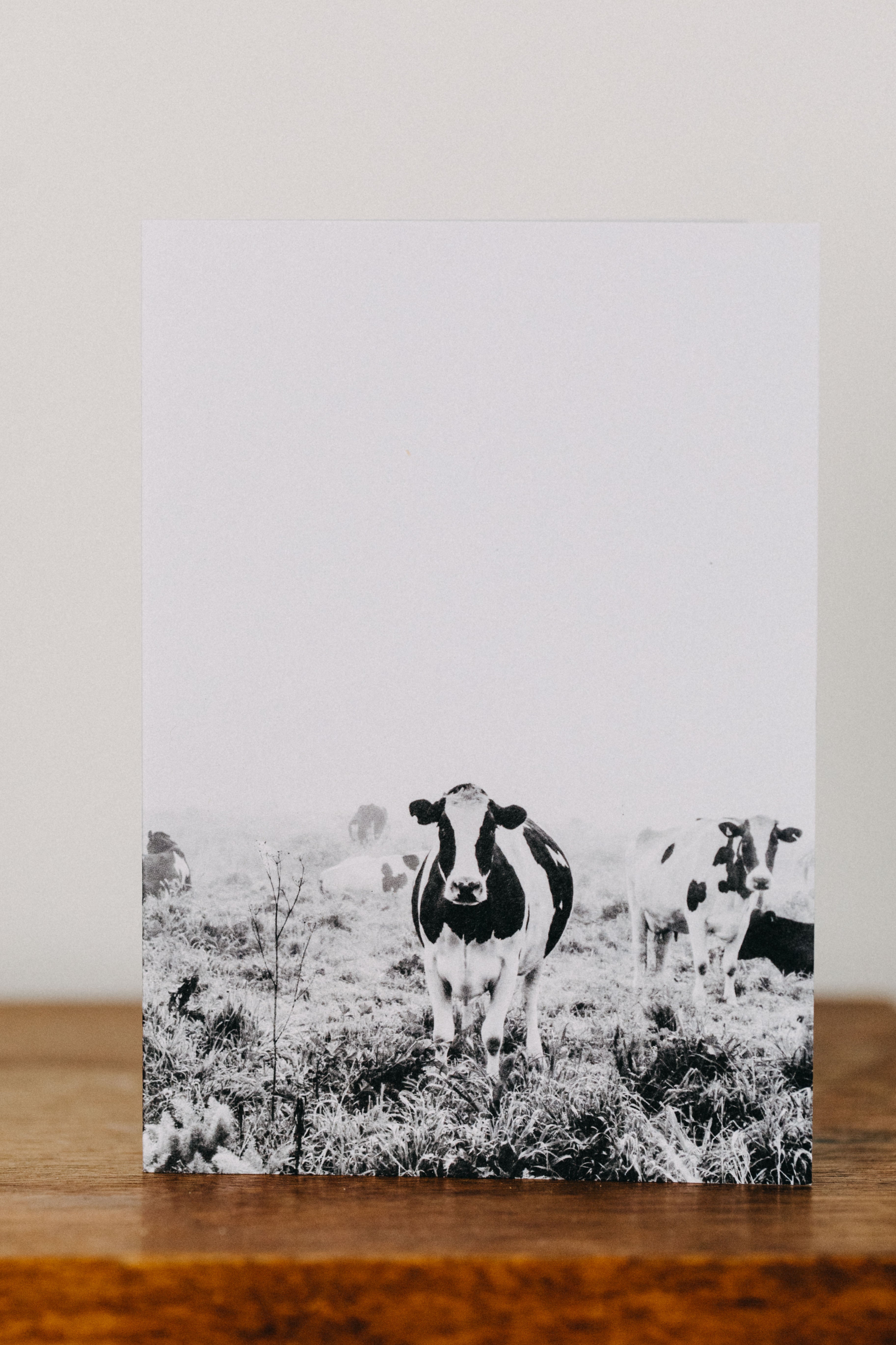 Dolores Dairy Cow Greeting Card - Emily O'Brien