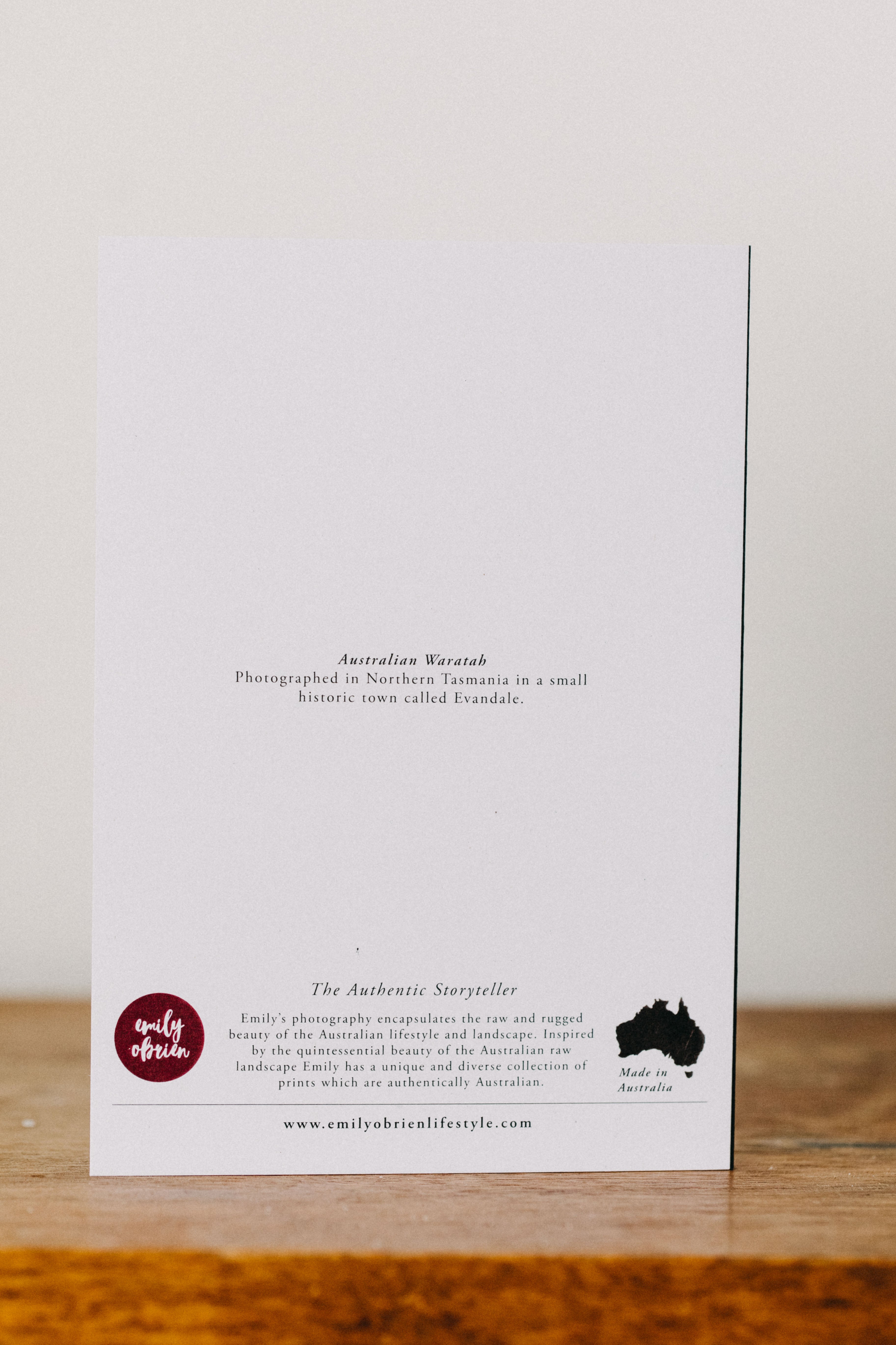 Australian Waratah Greeting Card - Emily O'Brien