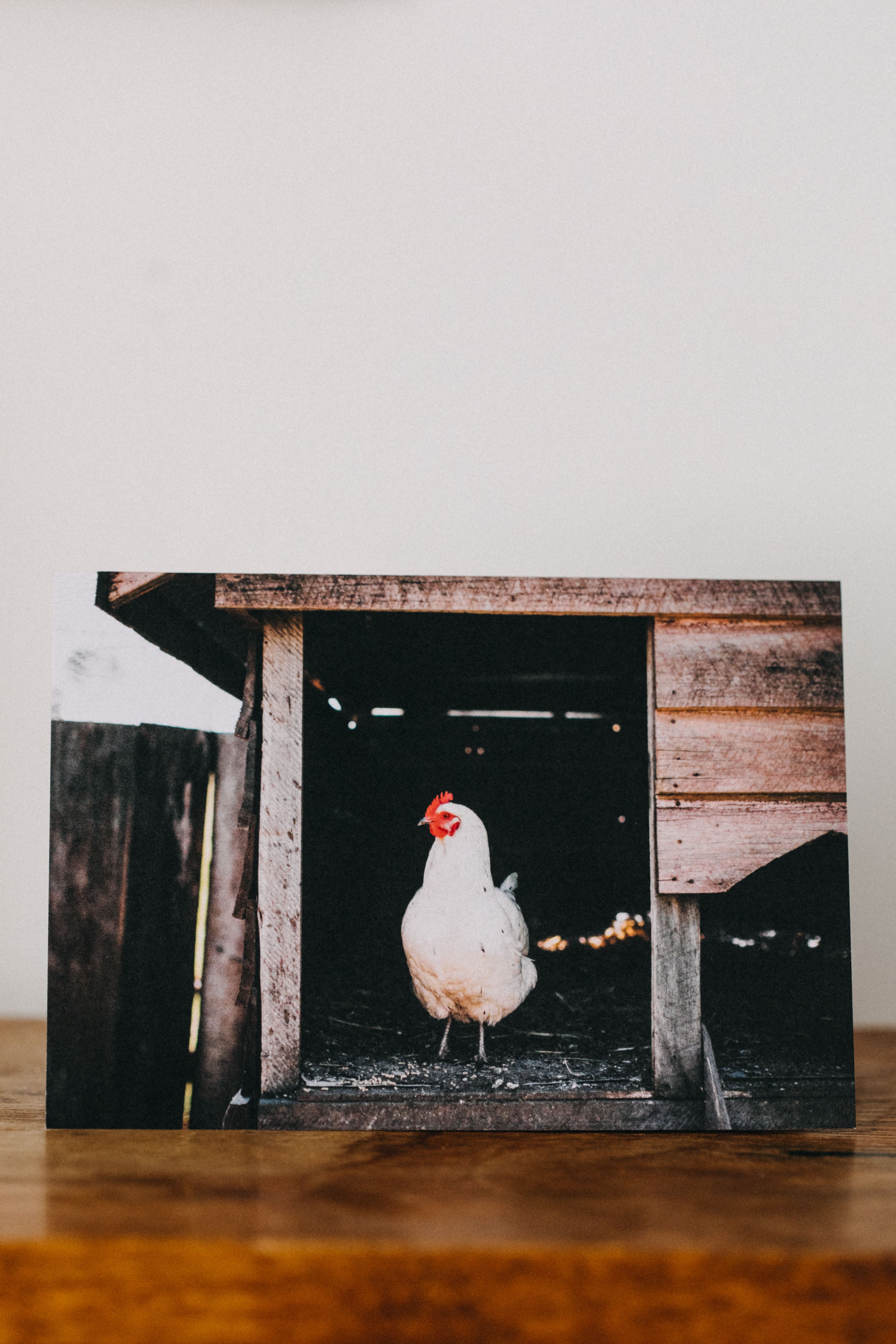 Into the Hen House Greeting Card - Emily O'Brien