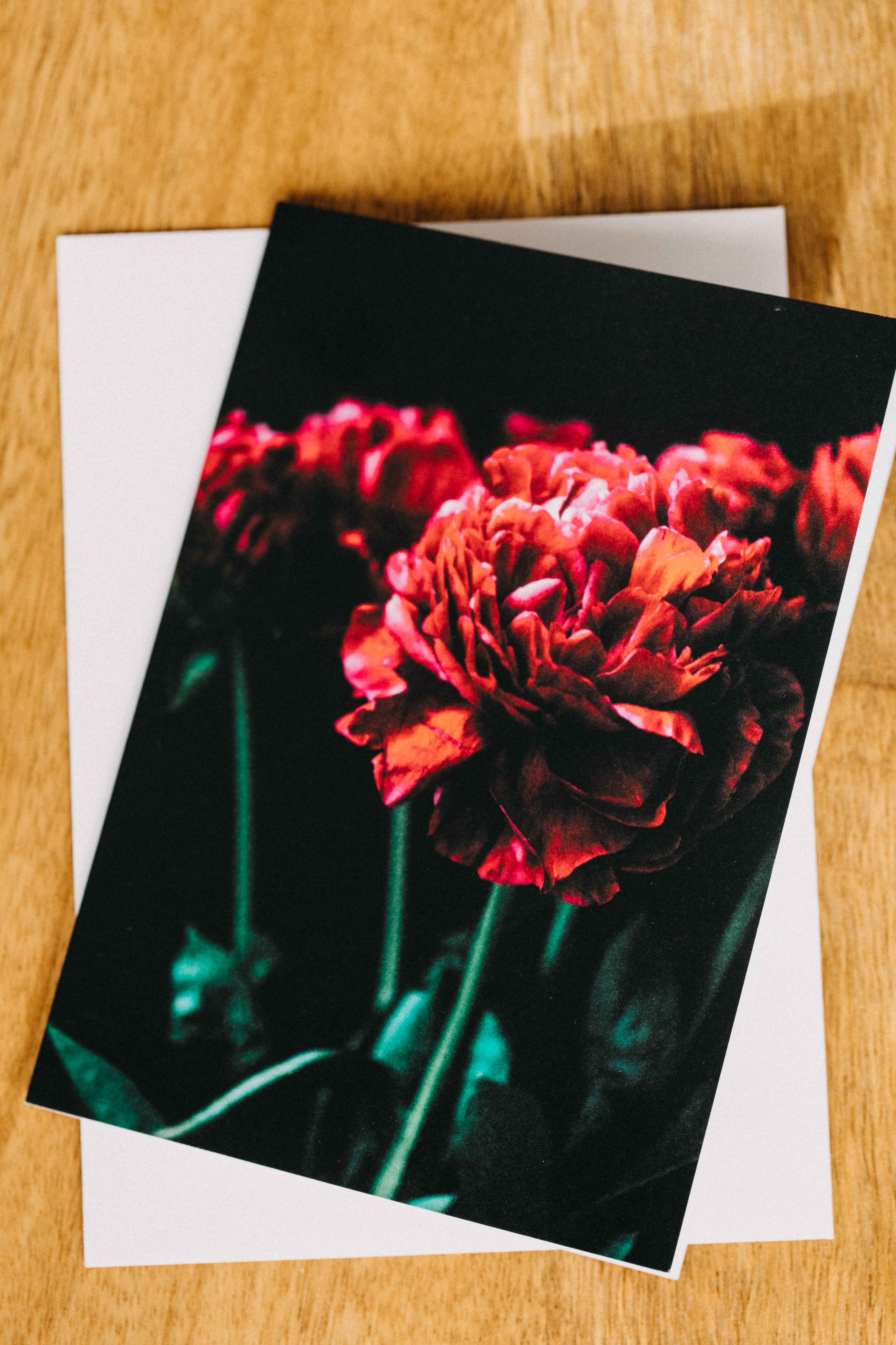Peony Red Dark II Greeting Card