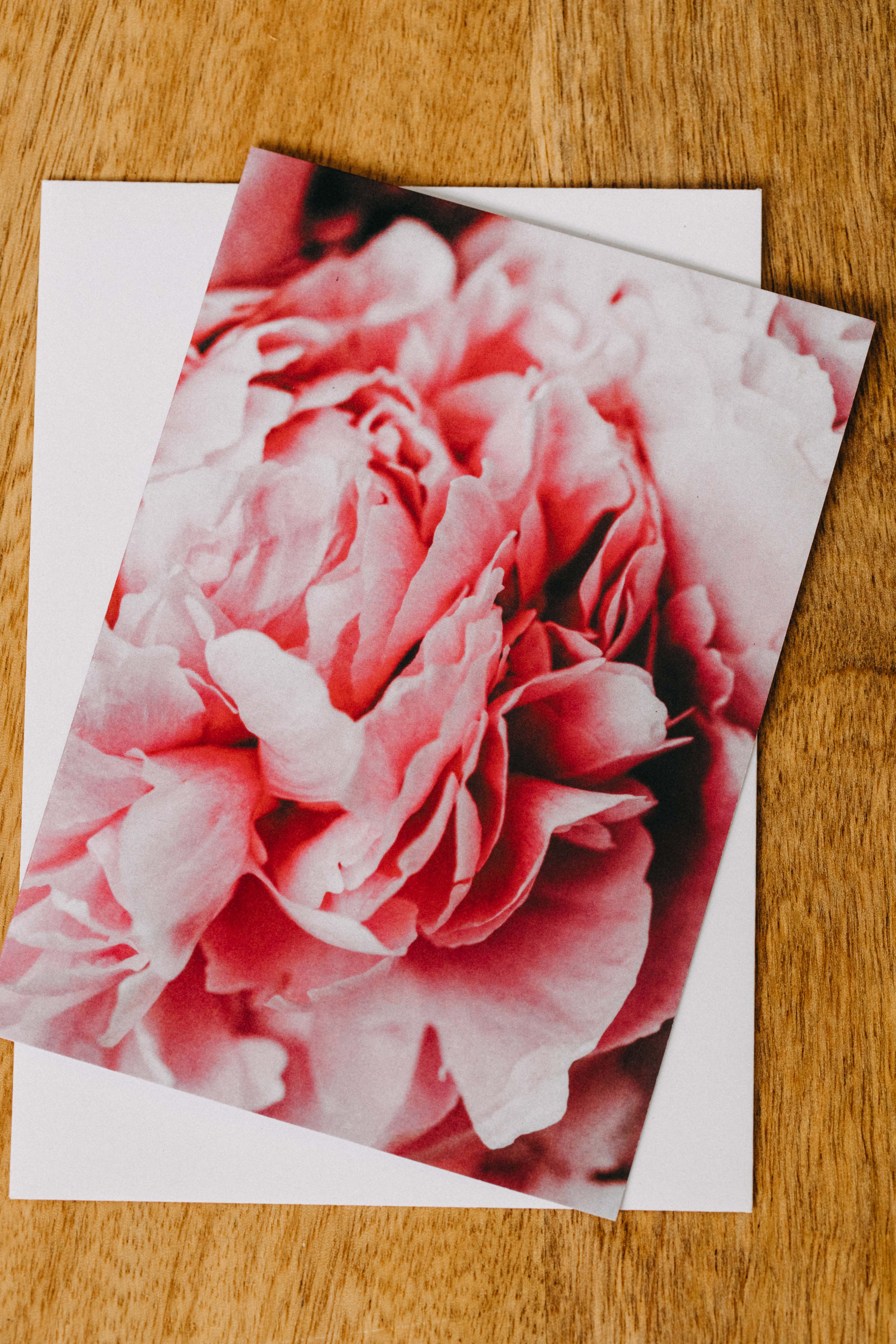 Peony Cluster II Greeting Card - Emily O'Brien