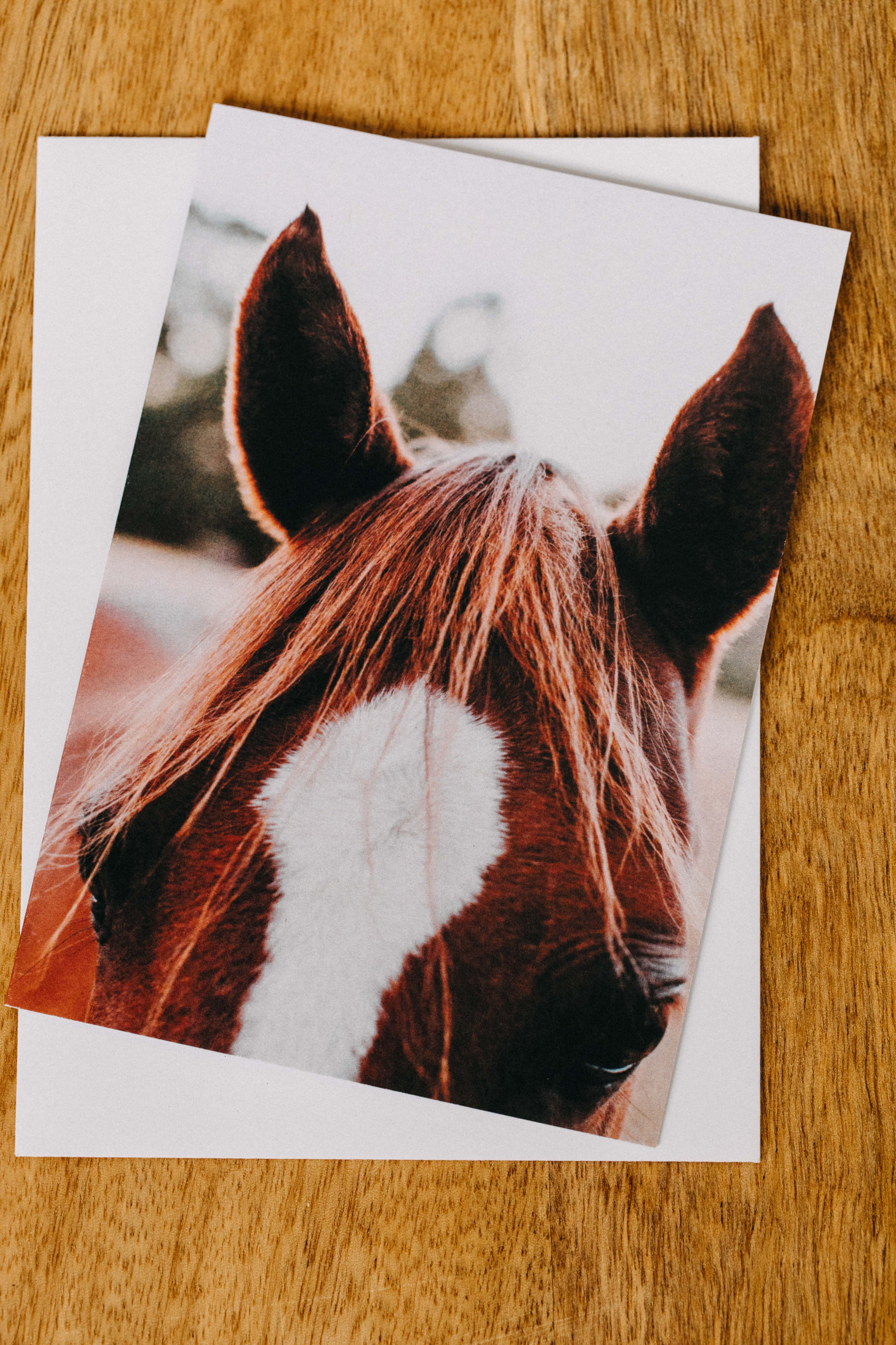 Benny the Brown Horse Greeting Card - Emily O'Brien