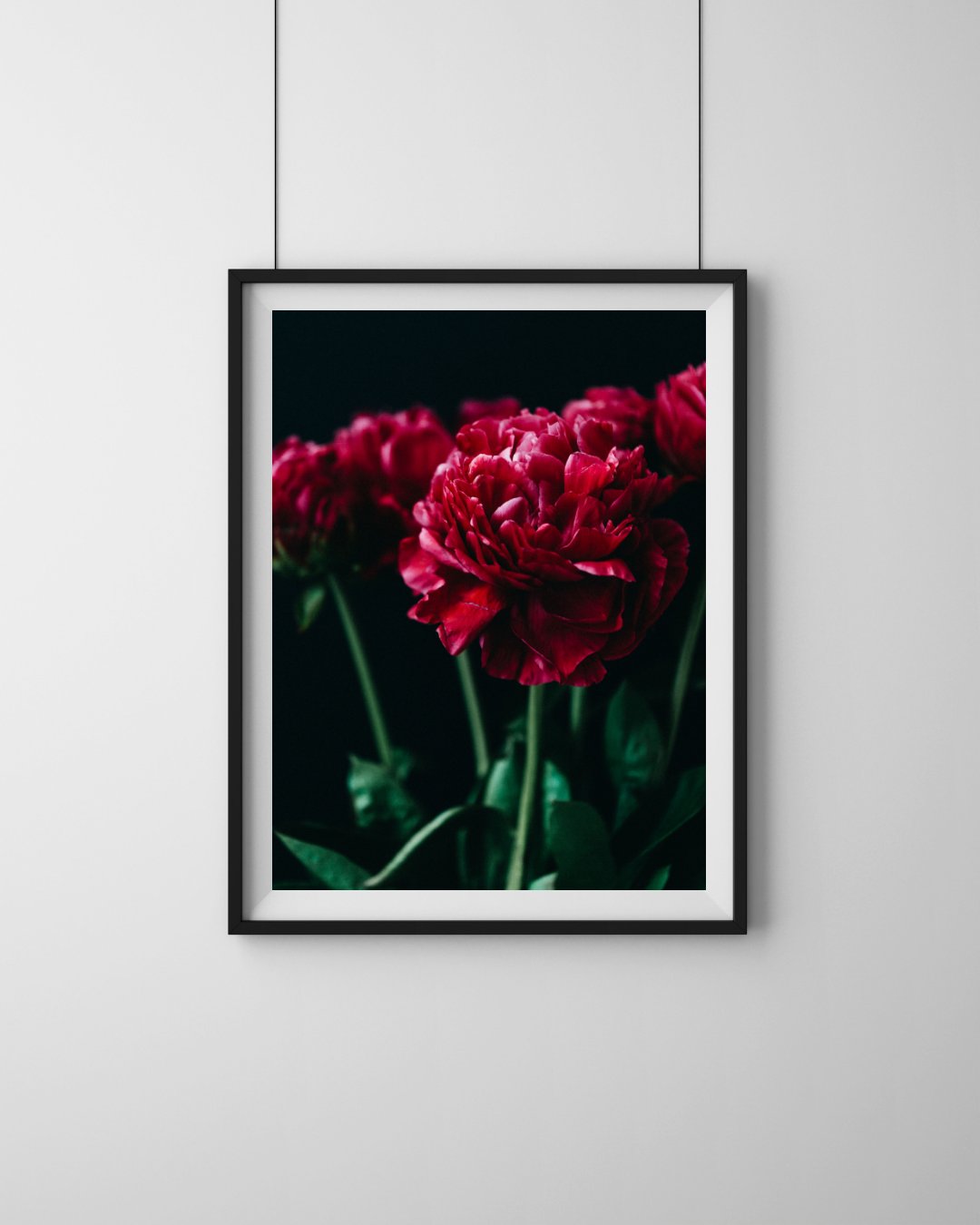 Shop All Prints