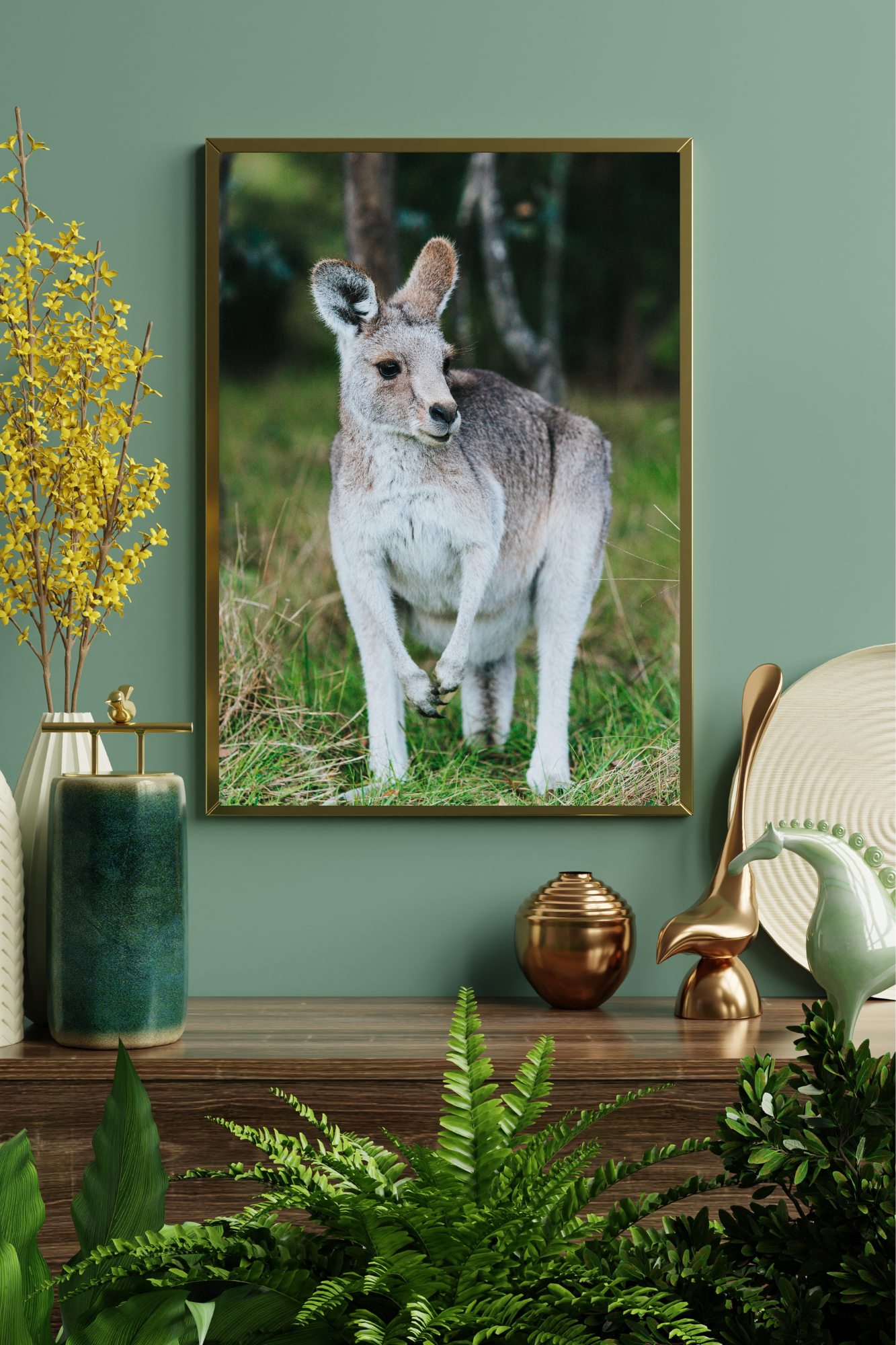 Australian Animals