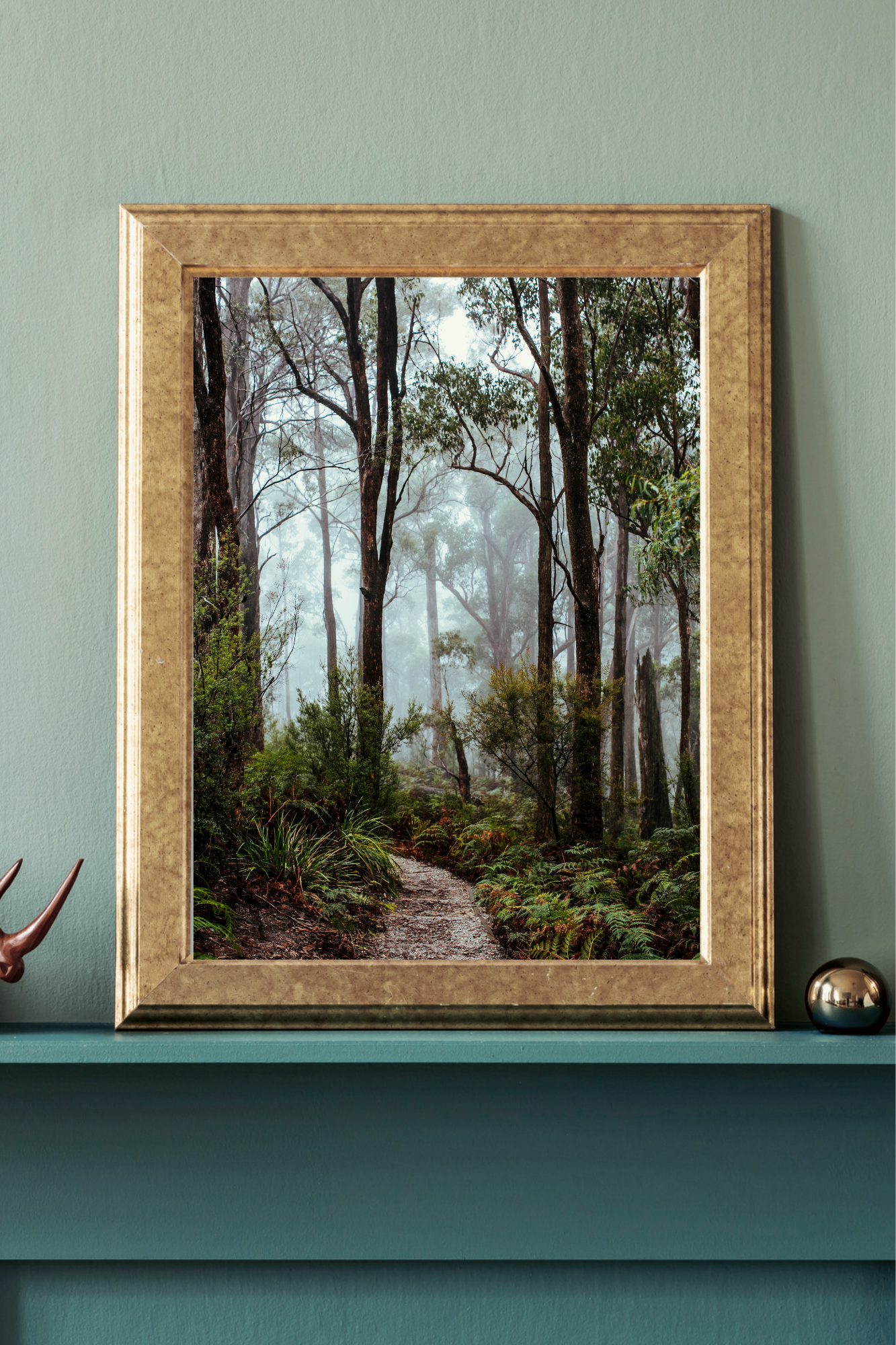 Rainforests