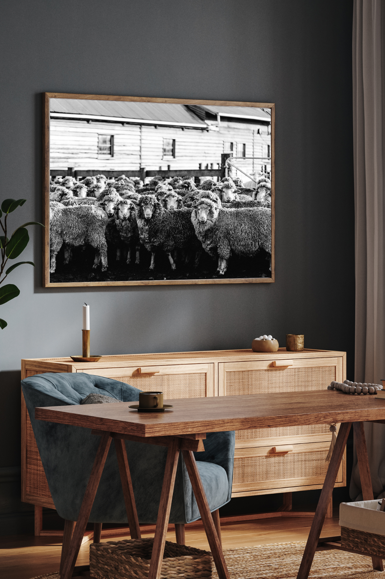 Lanolin and Light Photographic Print