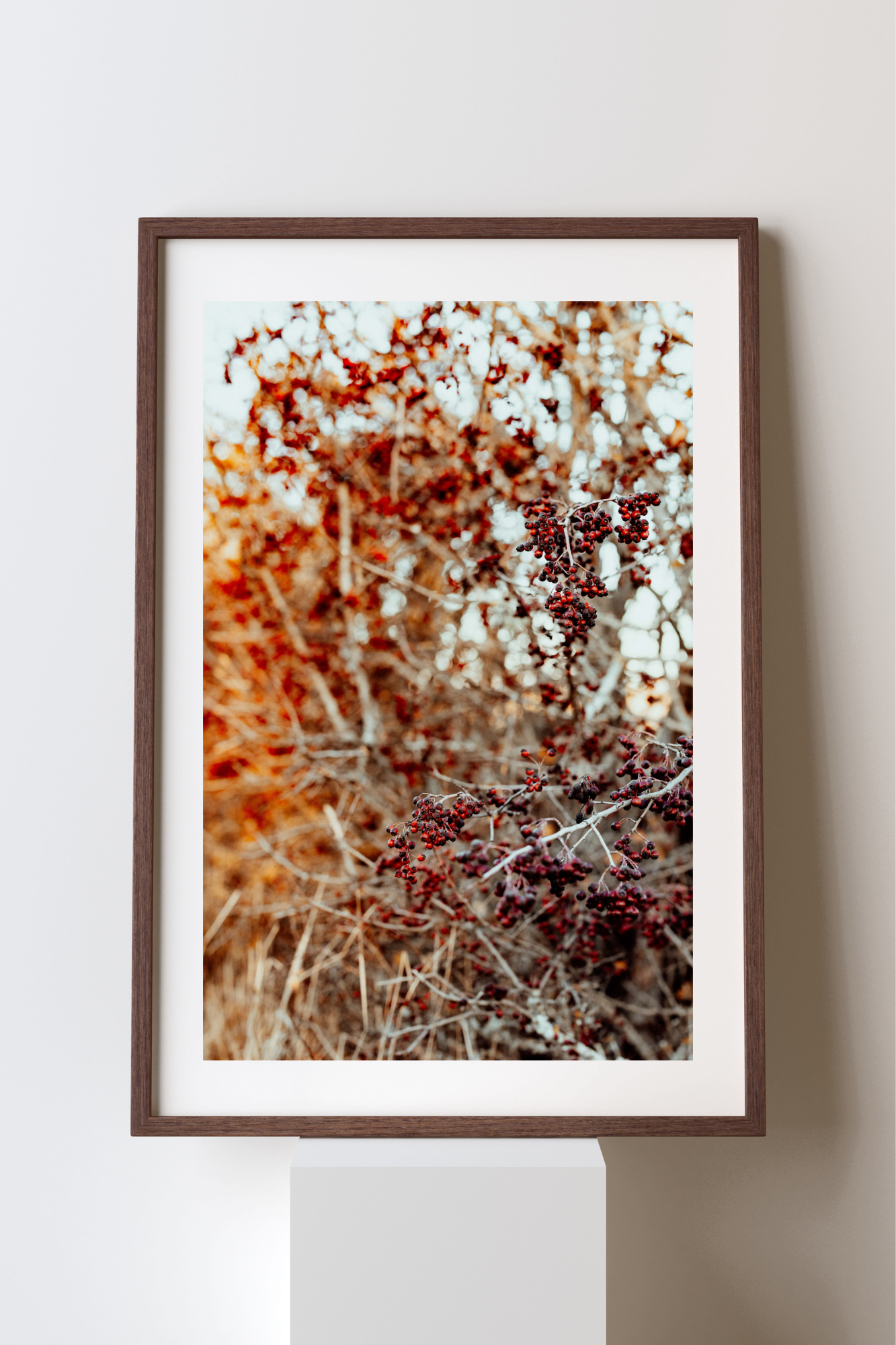 The Hedge Line II Photographic Print
