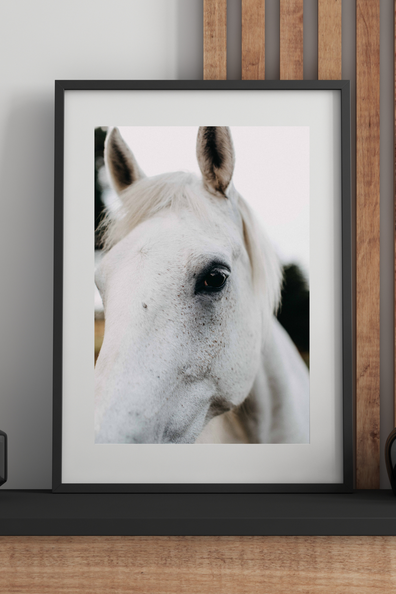 Arthur the White Horse Photographic Print