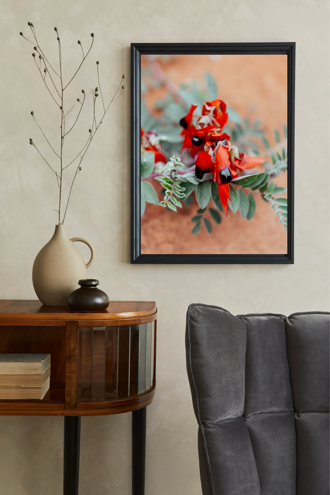 Australian Sturt Desert Pea Flower II Photographic Print