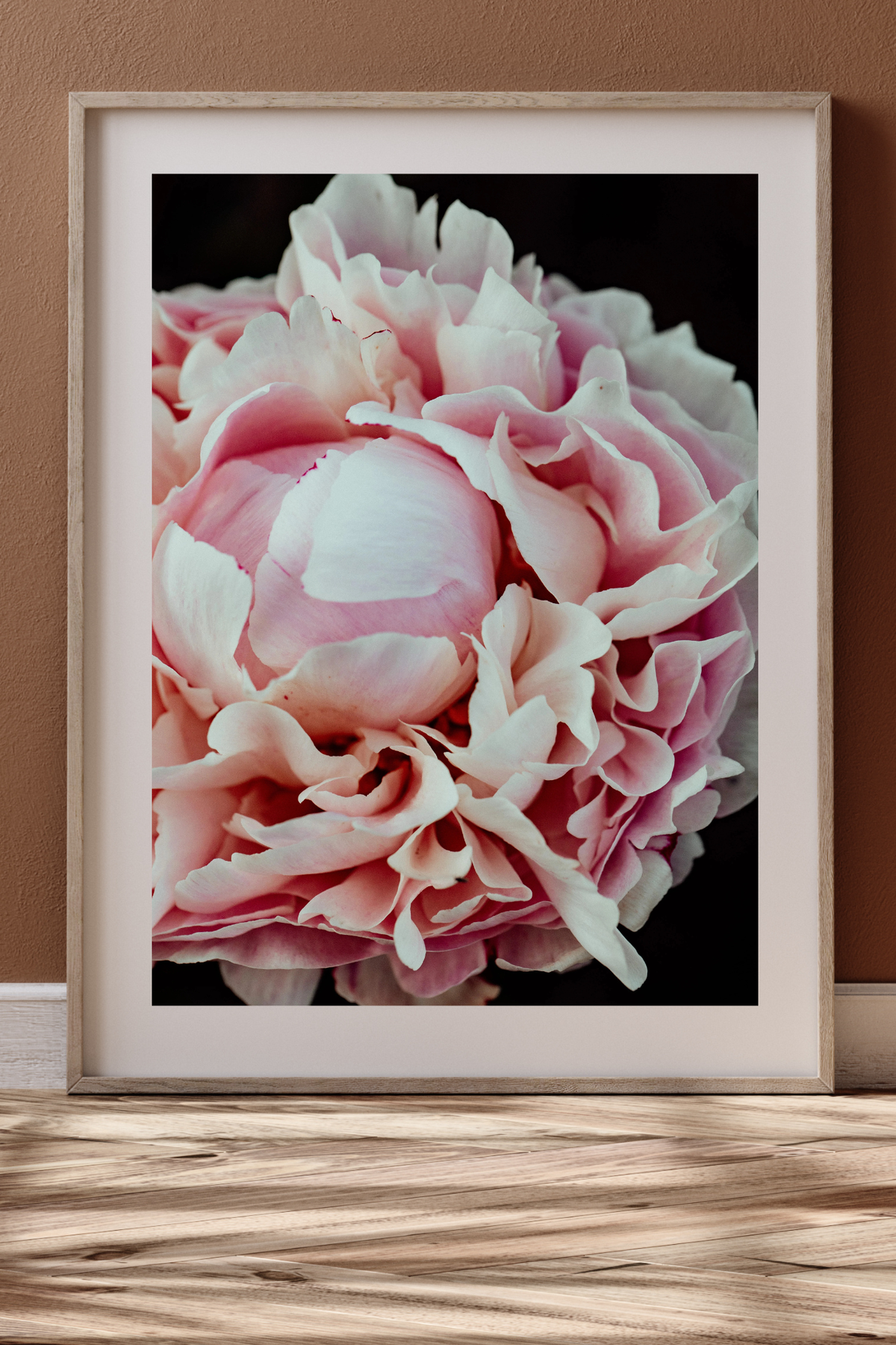 Peony Petal Study Photographic Print