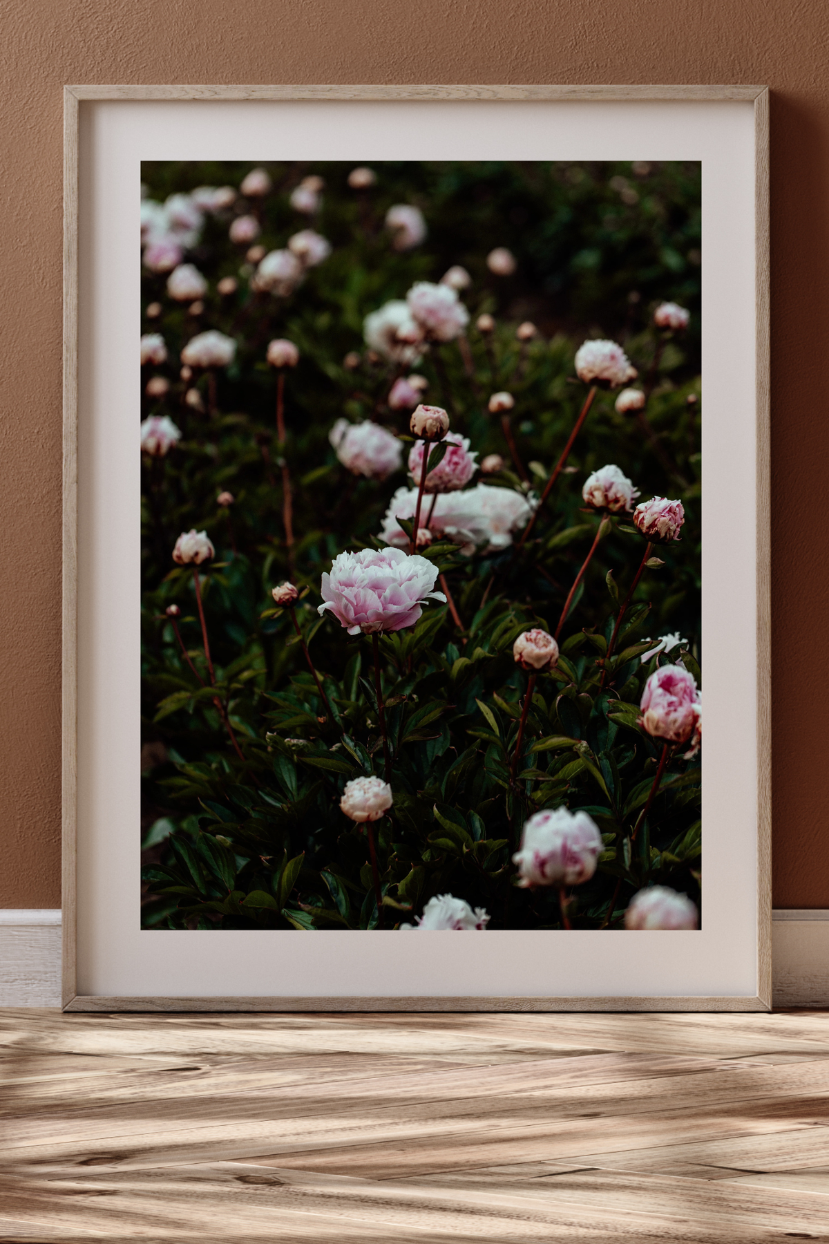 Field of Peonies II Photographic Print