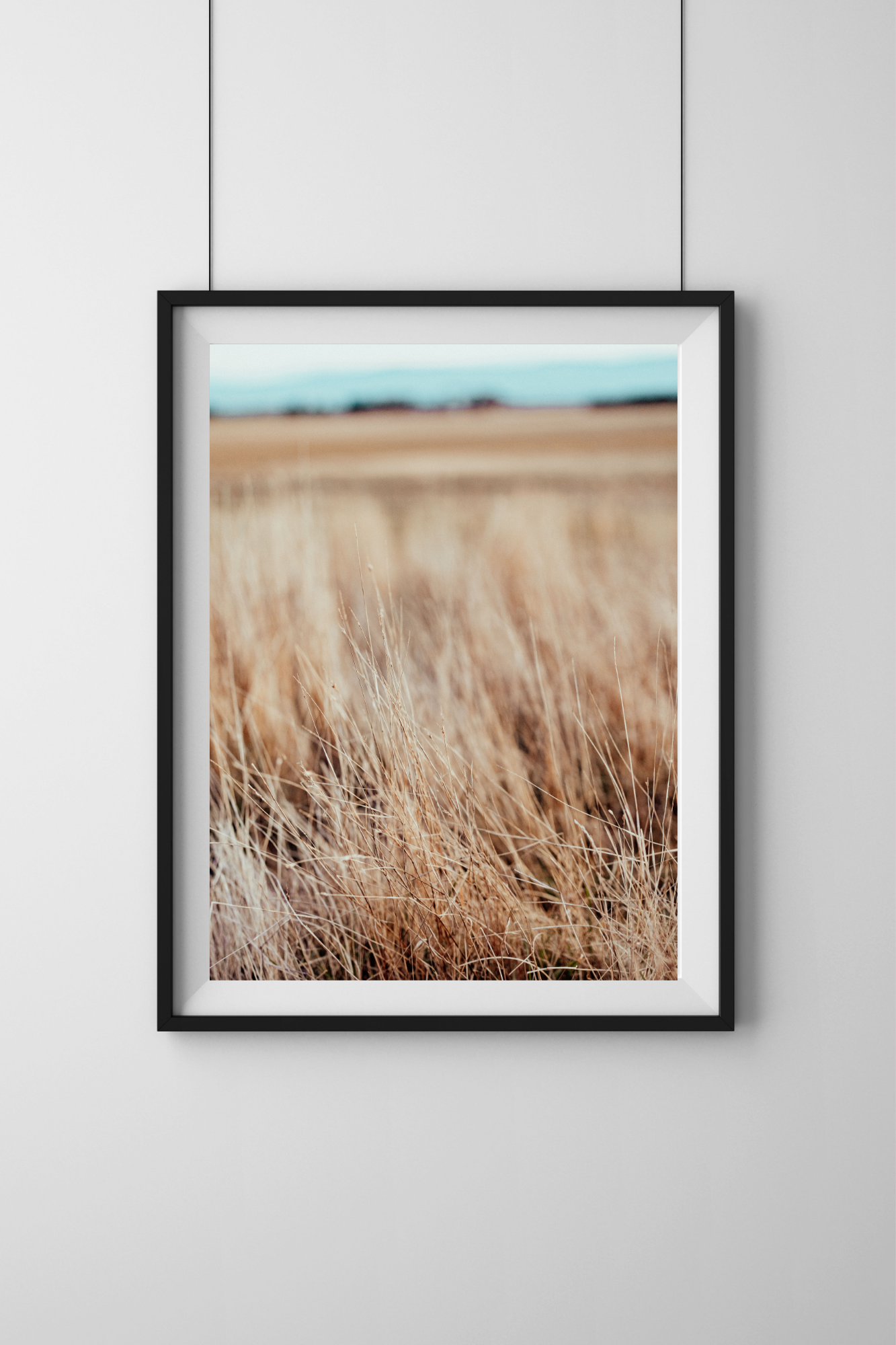 Grassline I Photographic Print