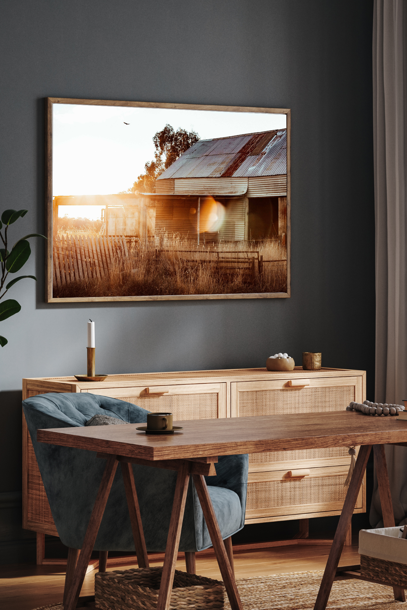 The Old Shed Photographic Print
