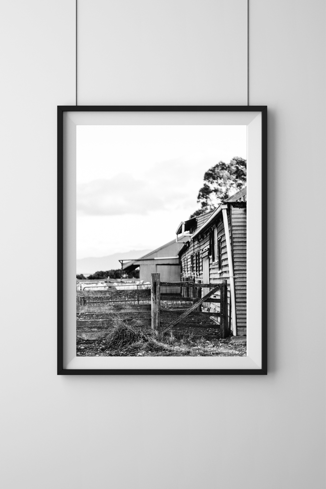 The Narrow Way Photographic Print