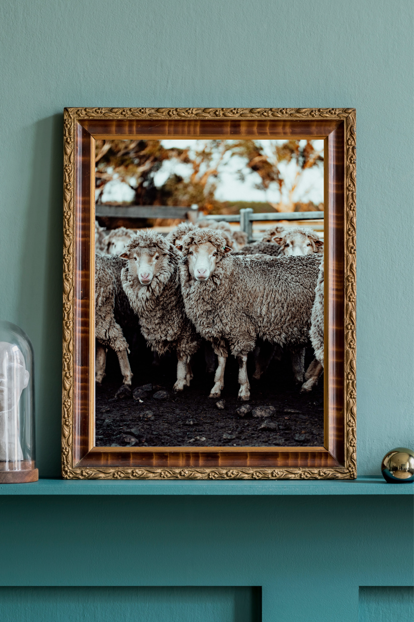 The Waiting Mob II Photographic Print