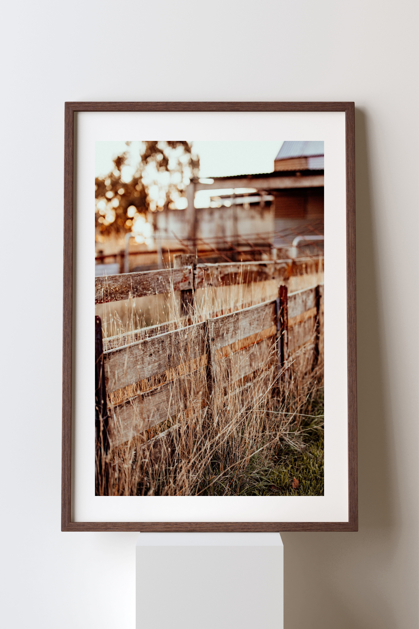 The Old Fence Photographic Print