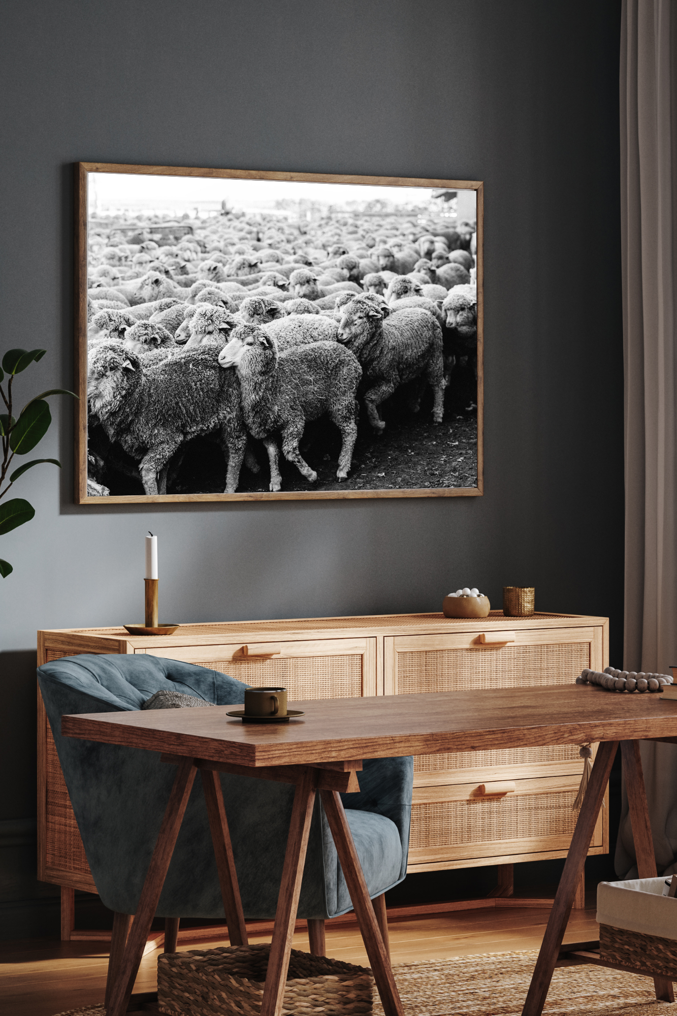 Wool on the Move II Photographic Print