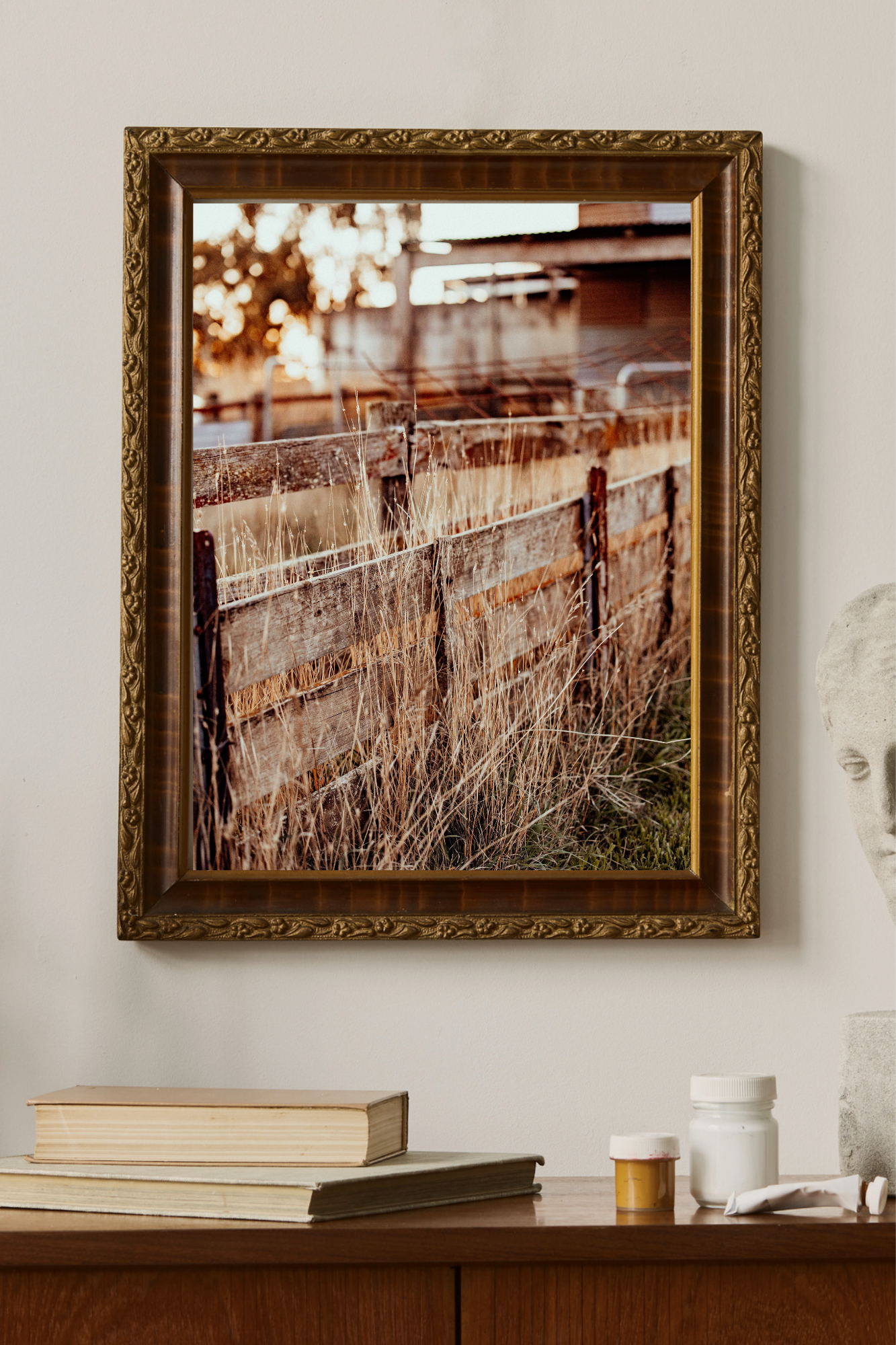 The Old Fence Photographic Print