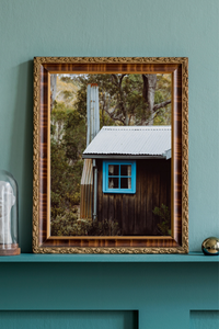 Cabin in the Woods Photographic Print
