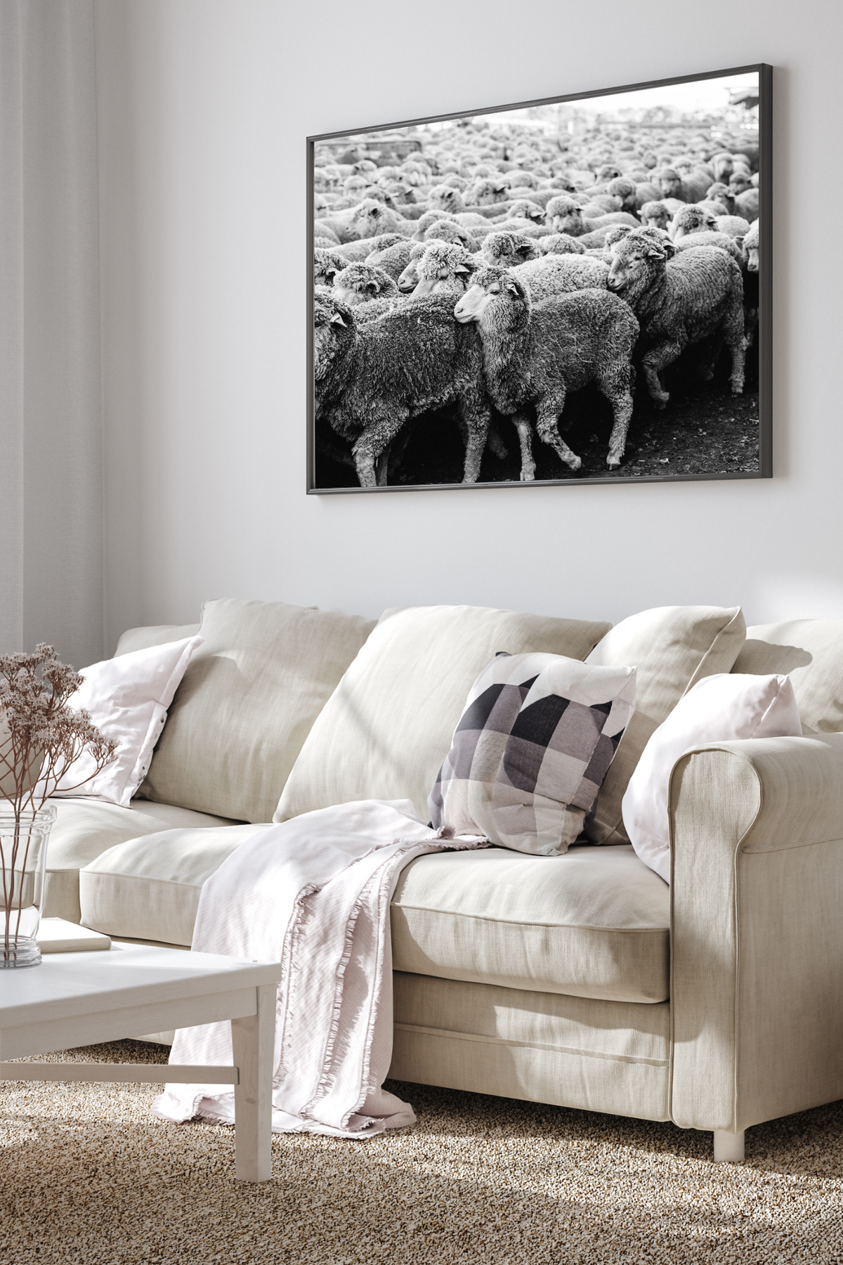 Wool on the Move II Photographic Print