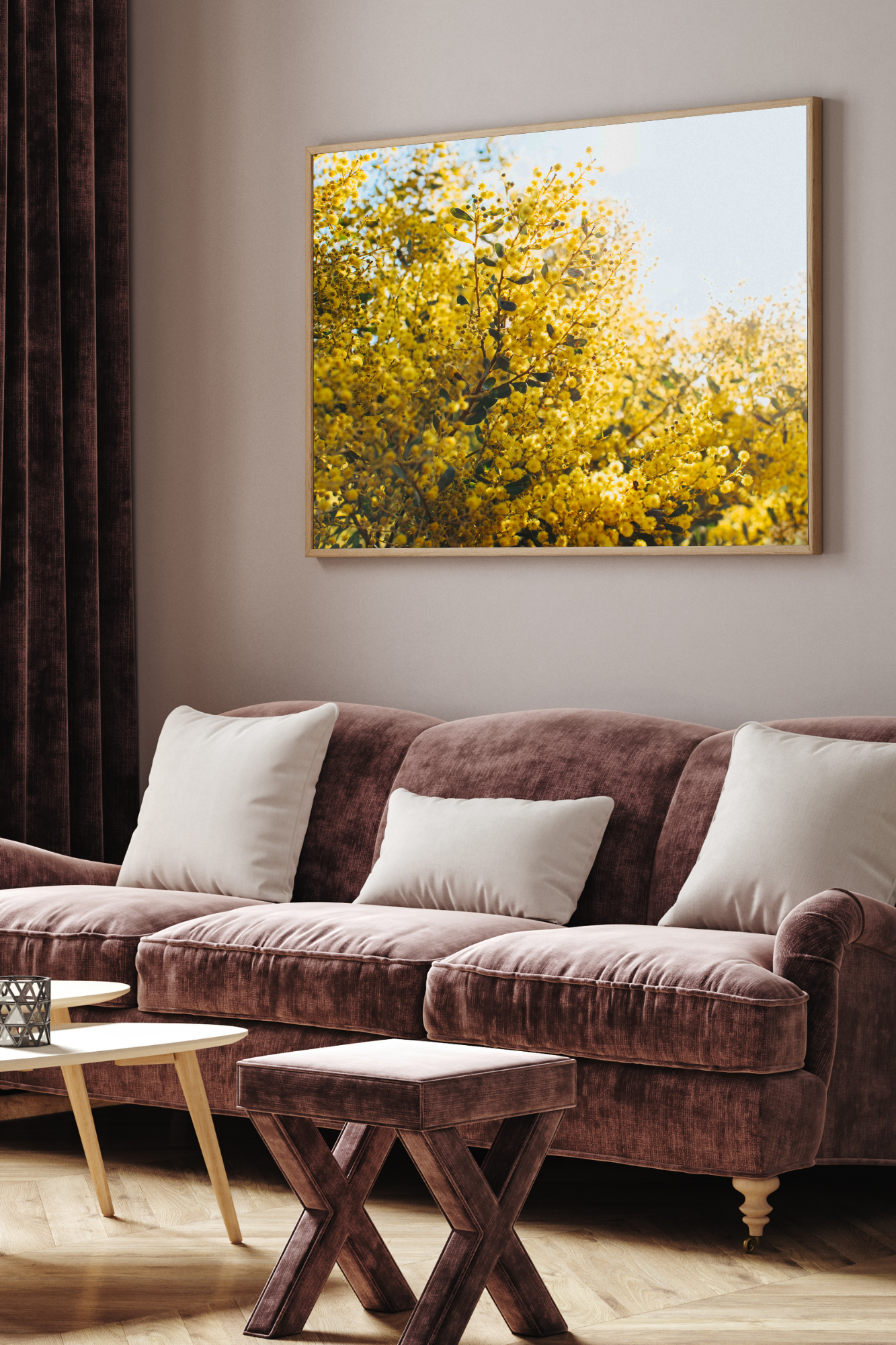 Australian Acacia Wattle Photographic Print
