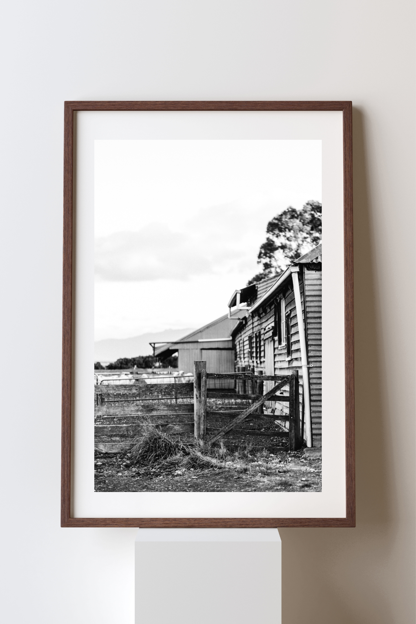 The Narrow Way Photographic Print