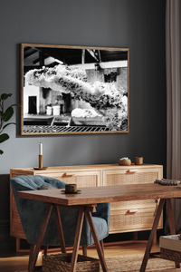 Throw of the Fleece Photographic Print