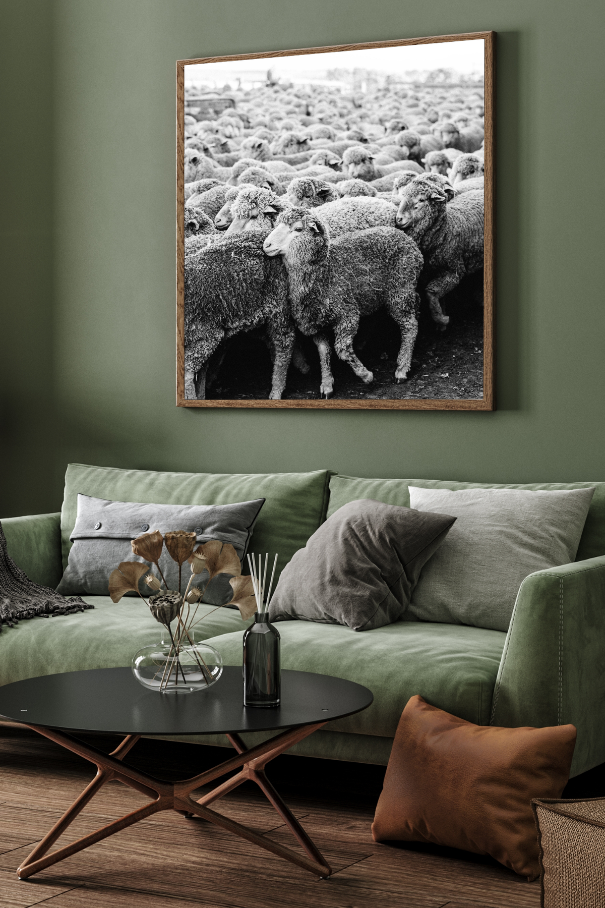 Wool on the Move II Photographic Print