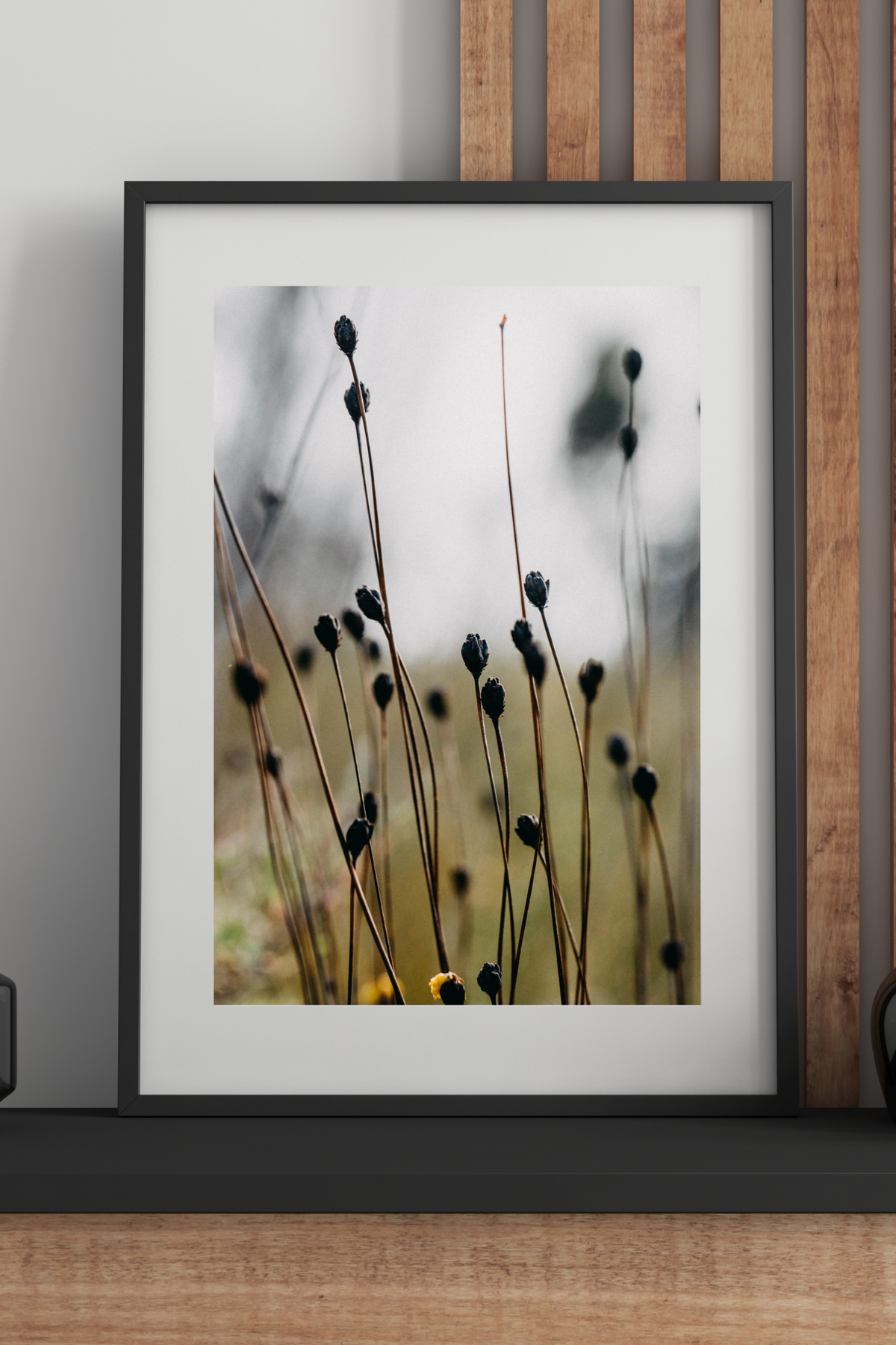 Buttongrass Moorland Photographic Print